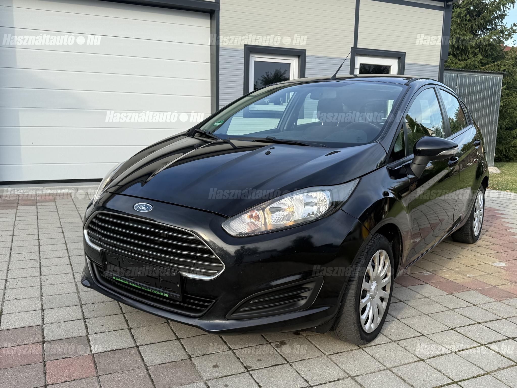FORD FIESTA 2013 - 1