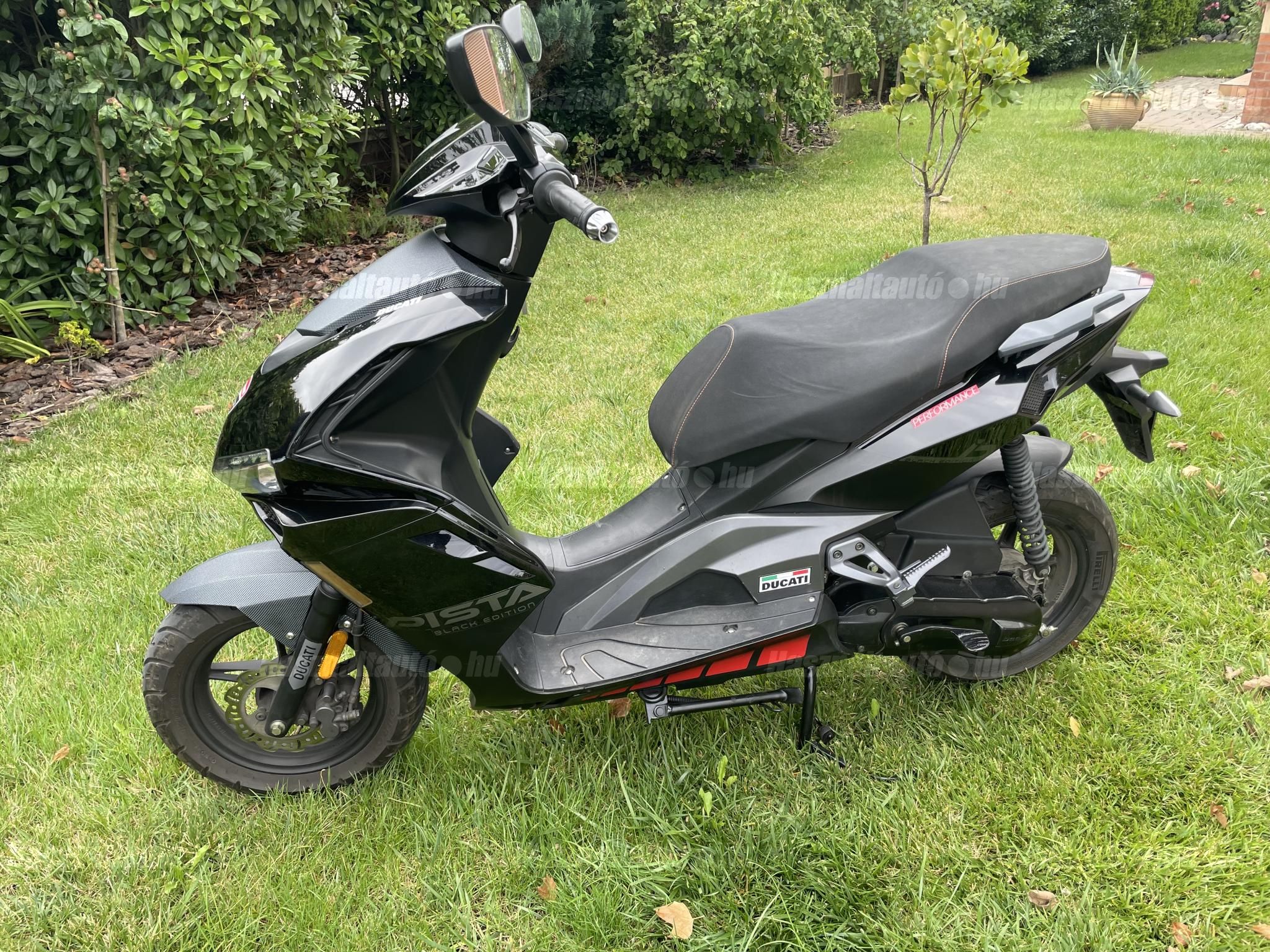 BEELINE PISTA 2019 - 1