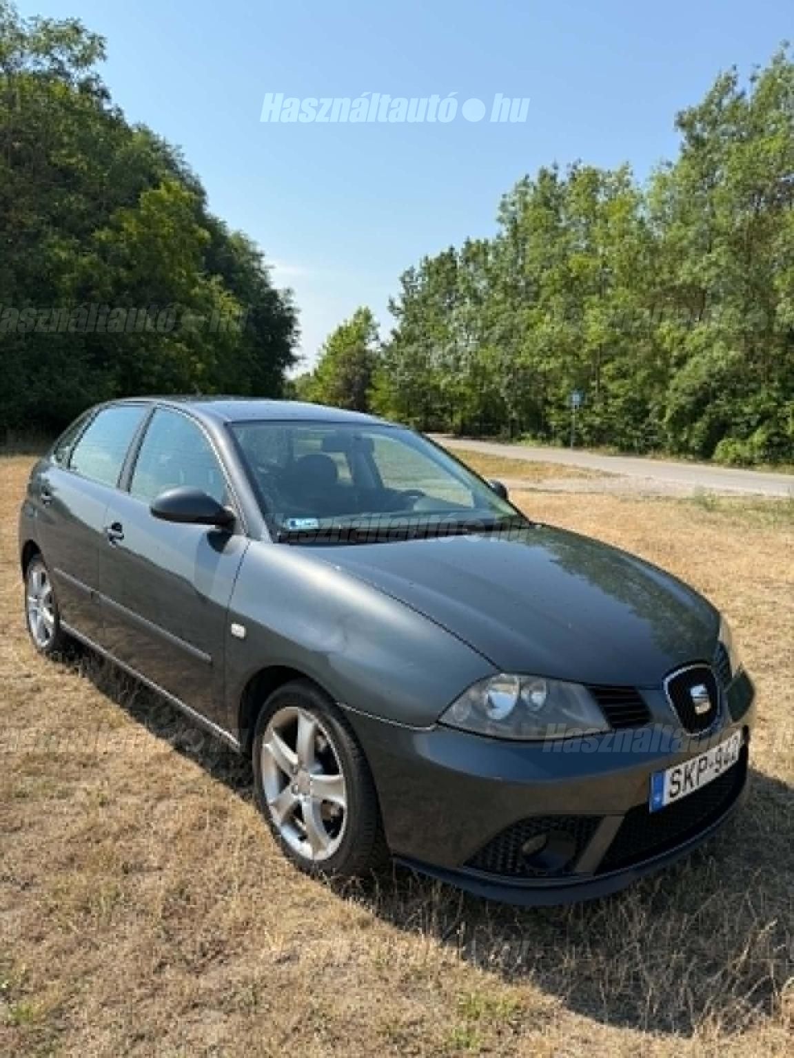 SEAT IBIZA 2006/8 - 1