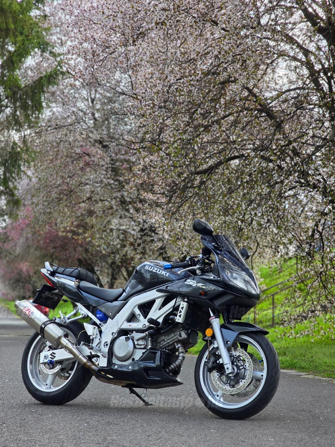 SUZUKI SV 650 S 2003/7 - 1