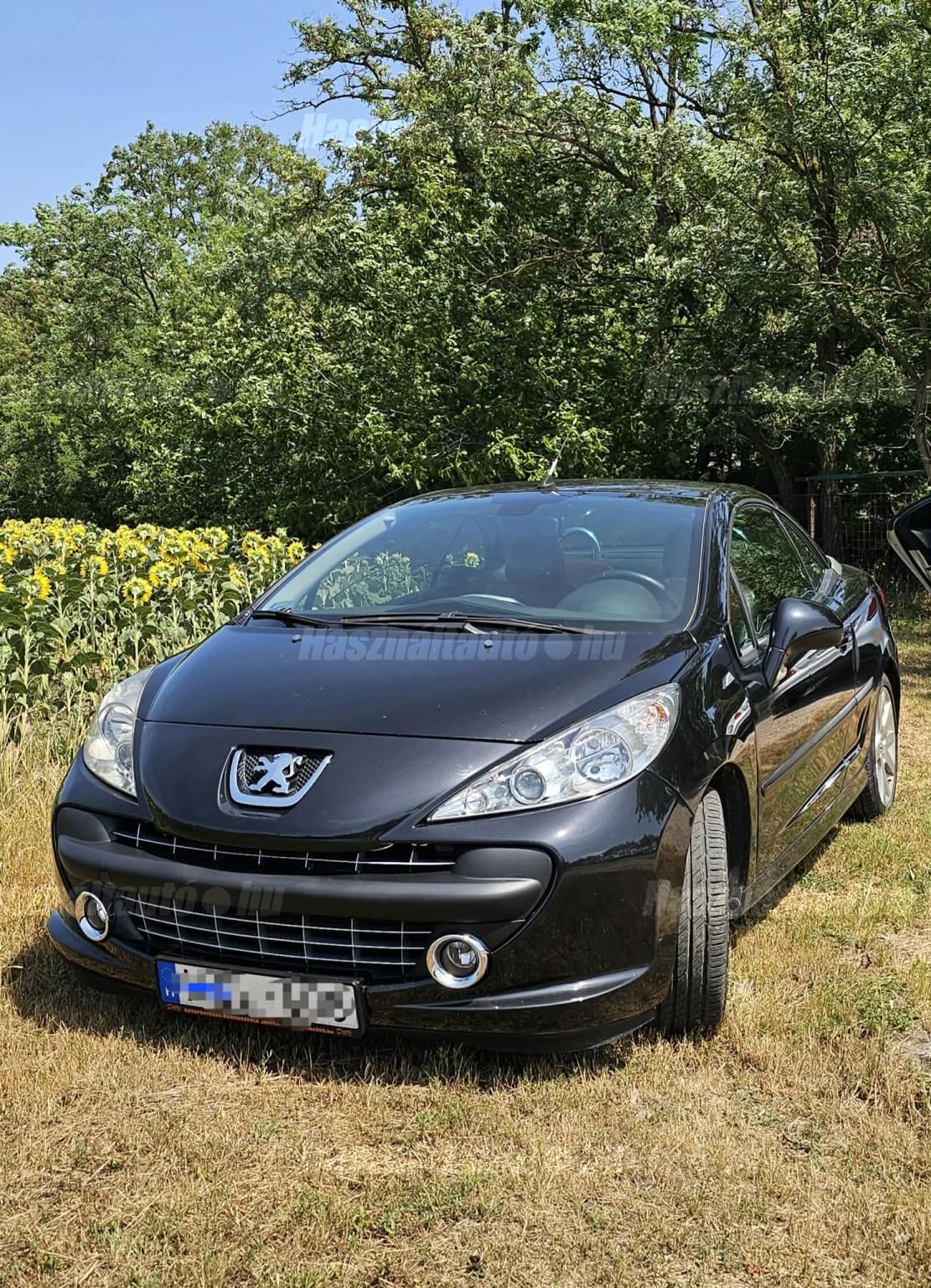 PEUGEOT 207 2007/4 - 1