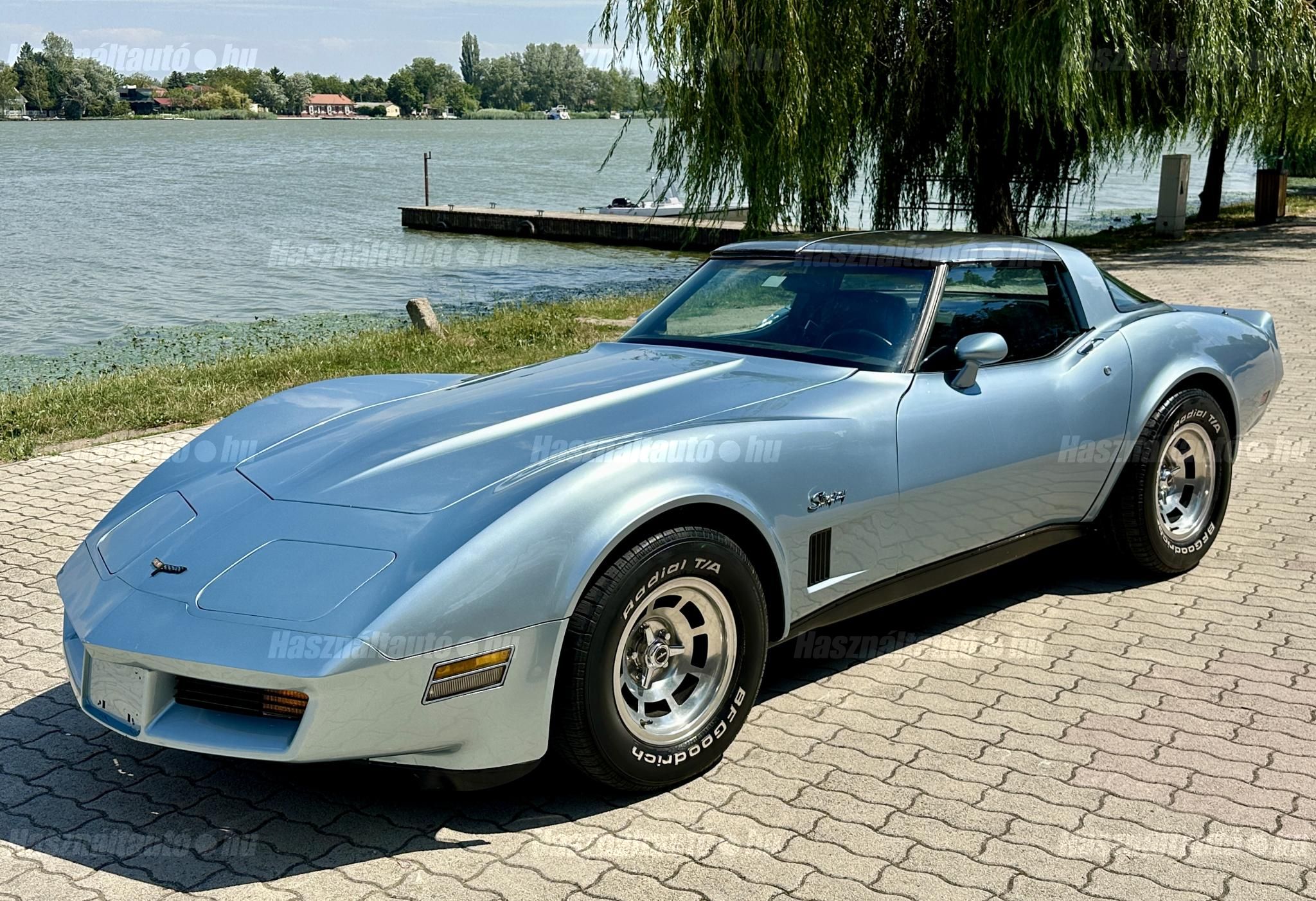 CHEVROLET CORVETTE 1981/9 - 1