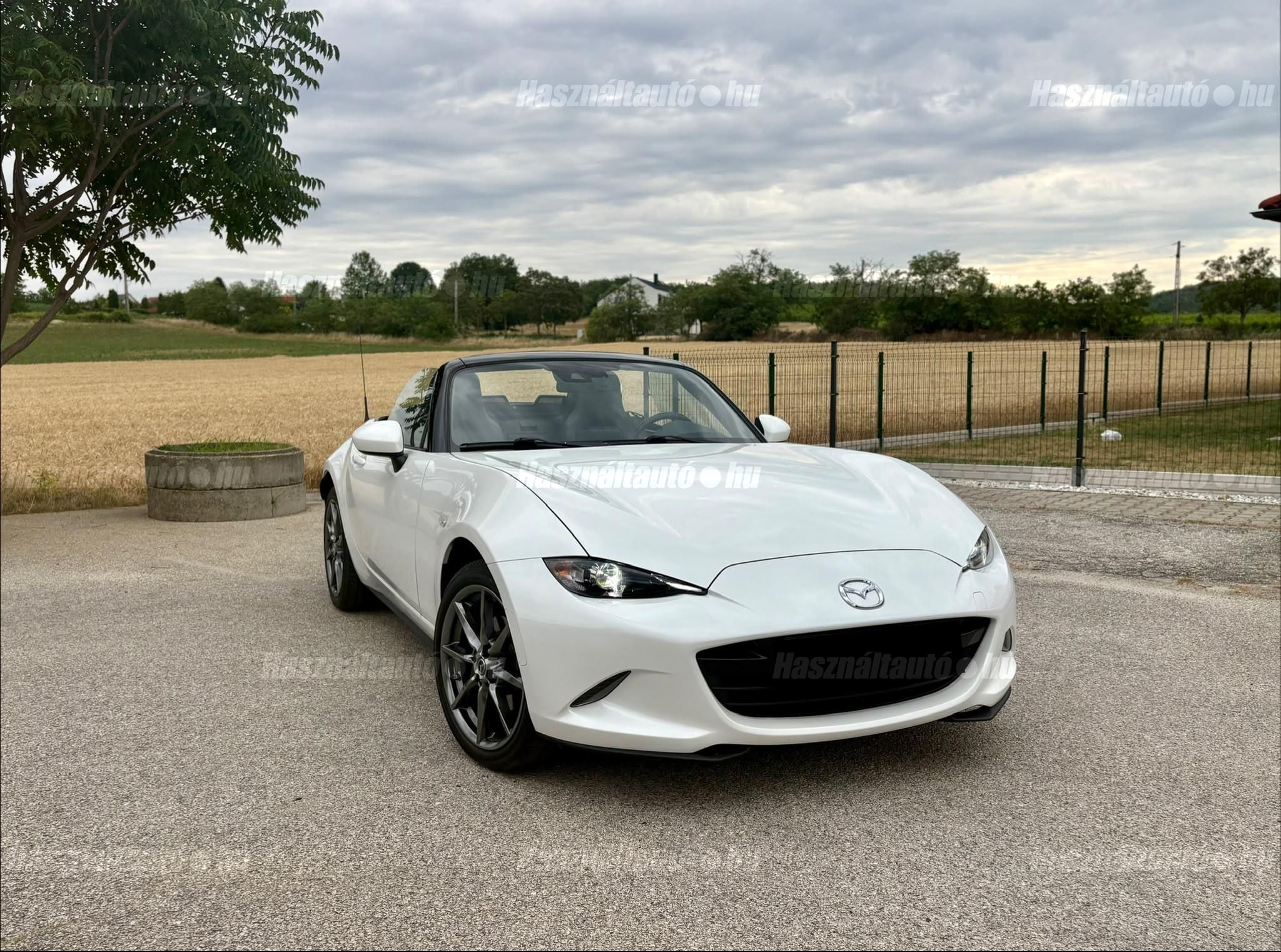 MAZDA MX-5 2019/3 - 1