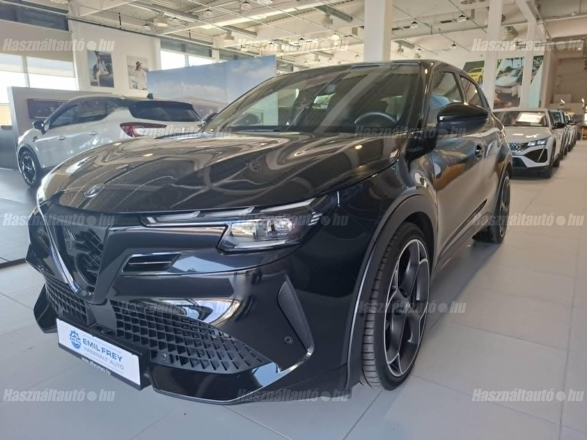 ALFA ROMEO JUNIOR 2025/6 - 1