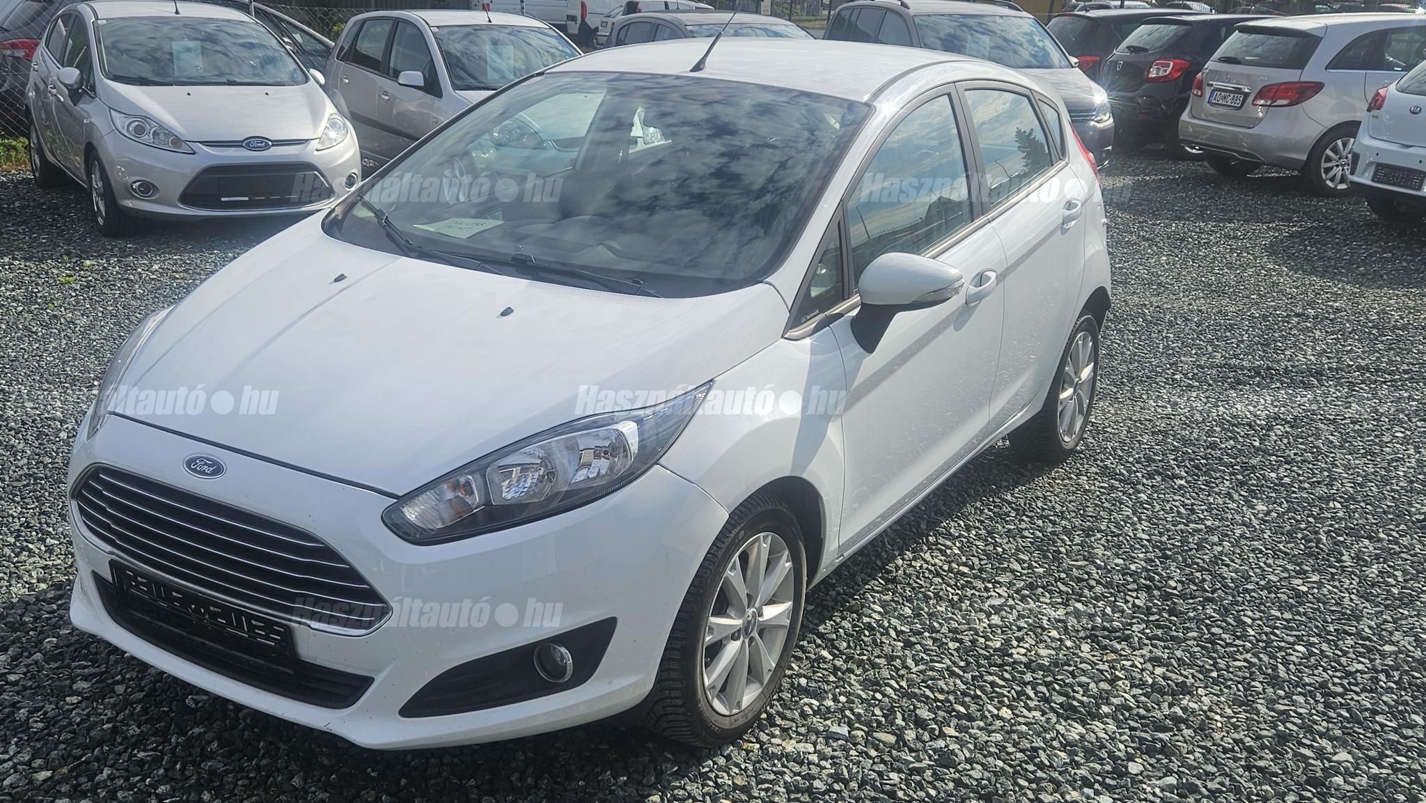 FORD FIESTA 2013/4 - 1