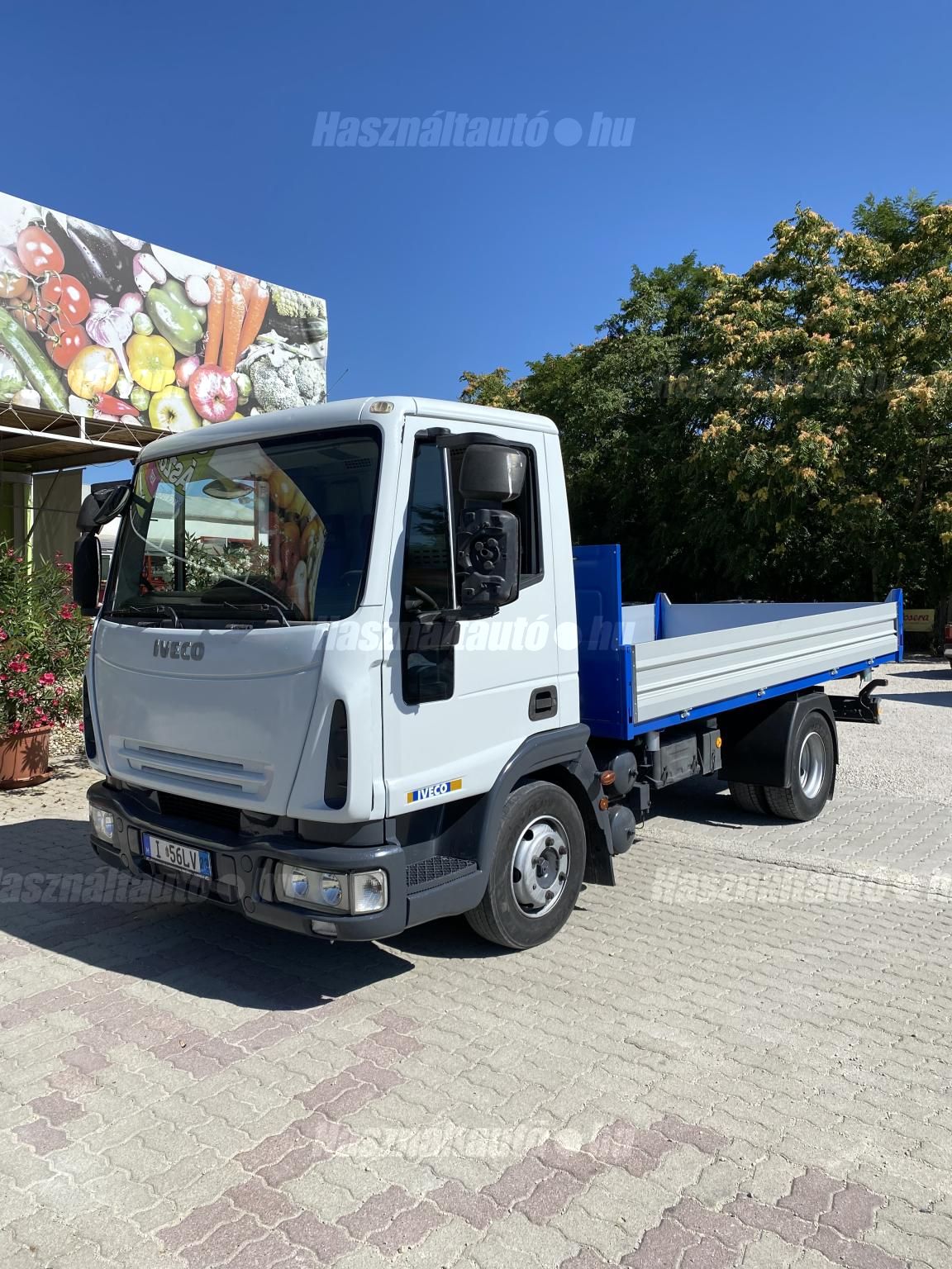 IVECO 2009/10 - 1