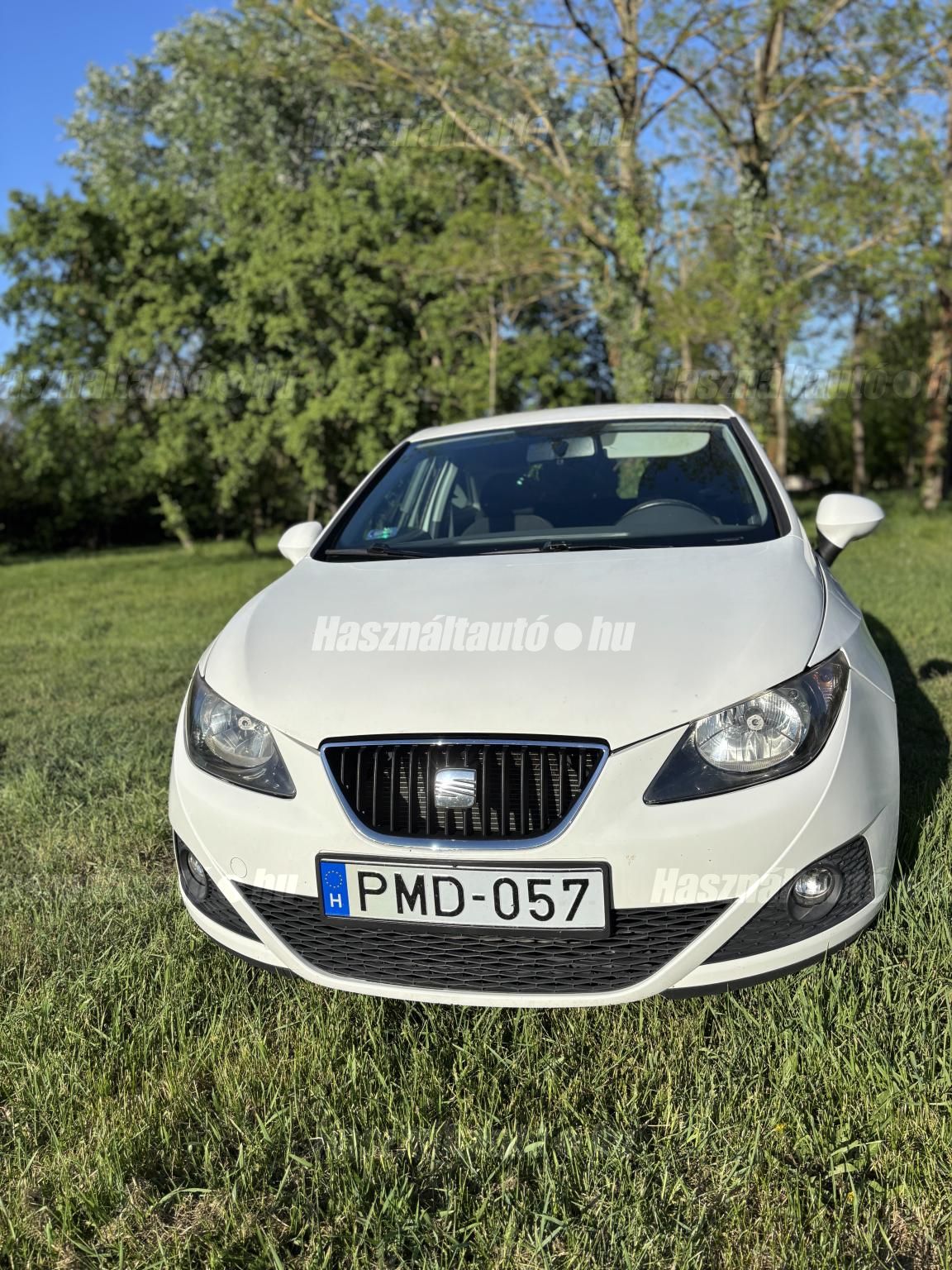 SEAT IBIZA 2011/1 - 1