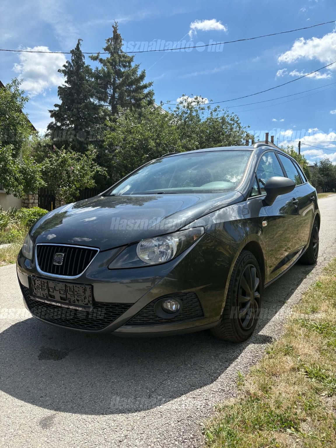 SEAT IBIZA 2010 - 1