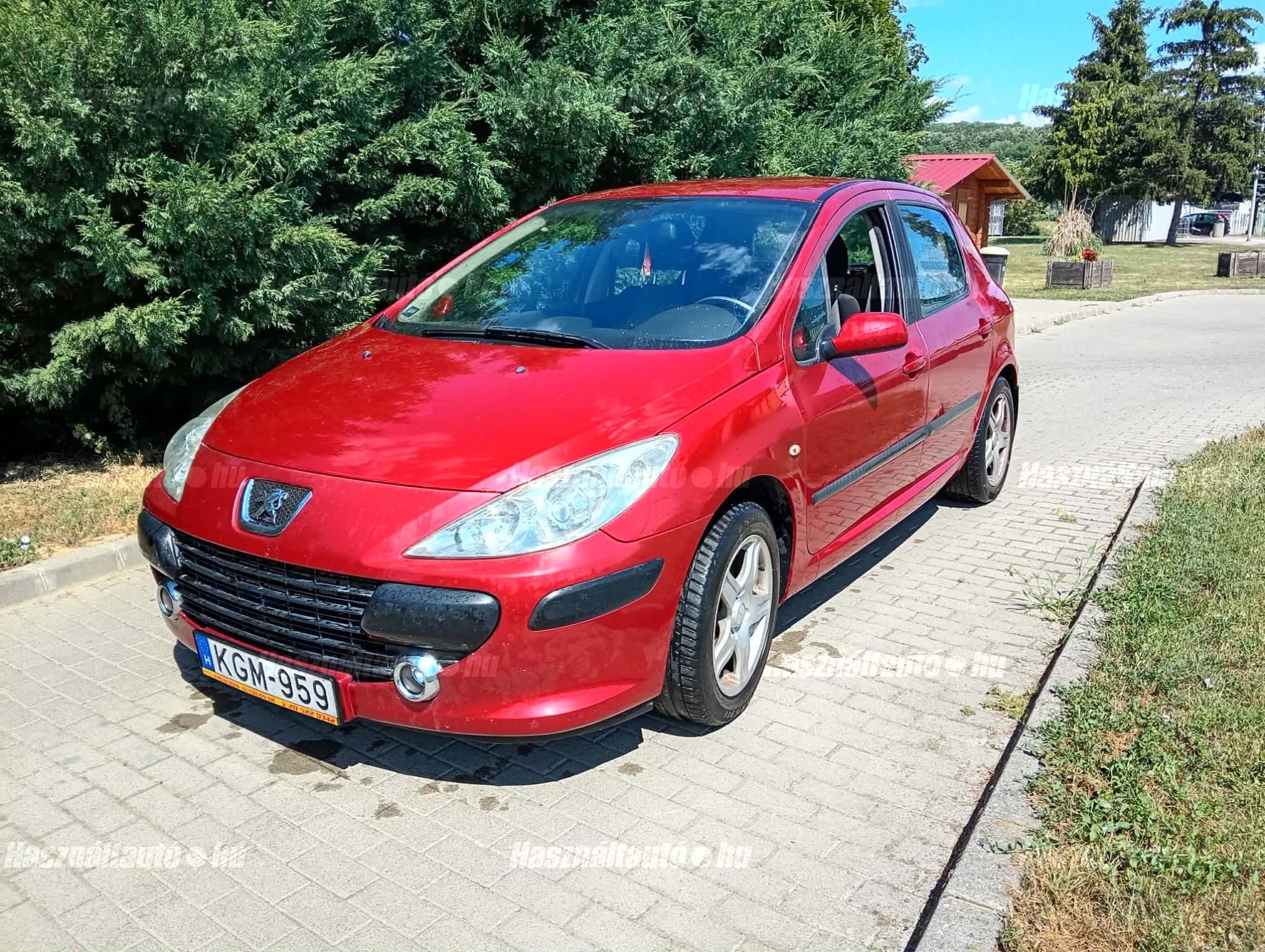 PEUGEOT 307 2006/7 - 1