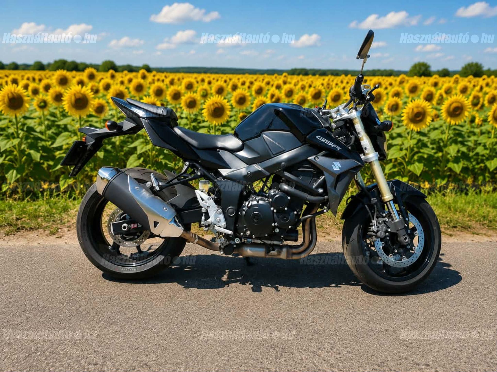 SUZUKI GSR 750 2011/6 - 1