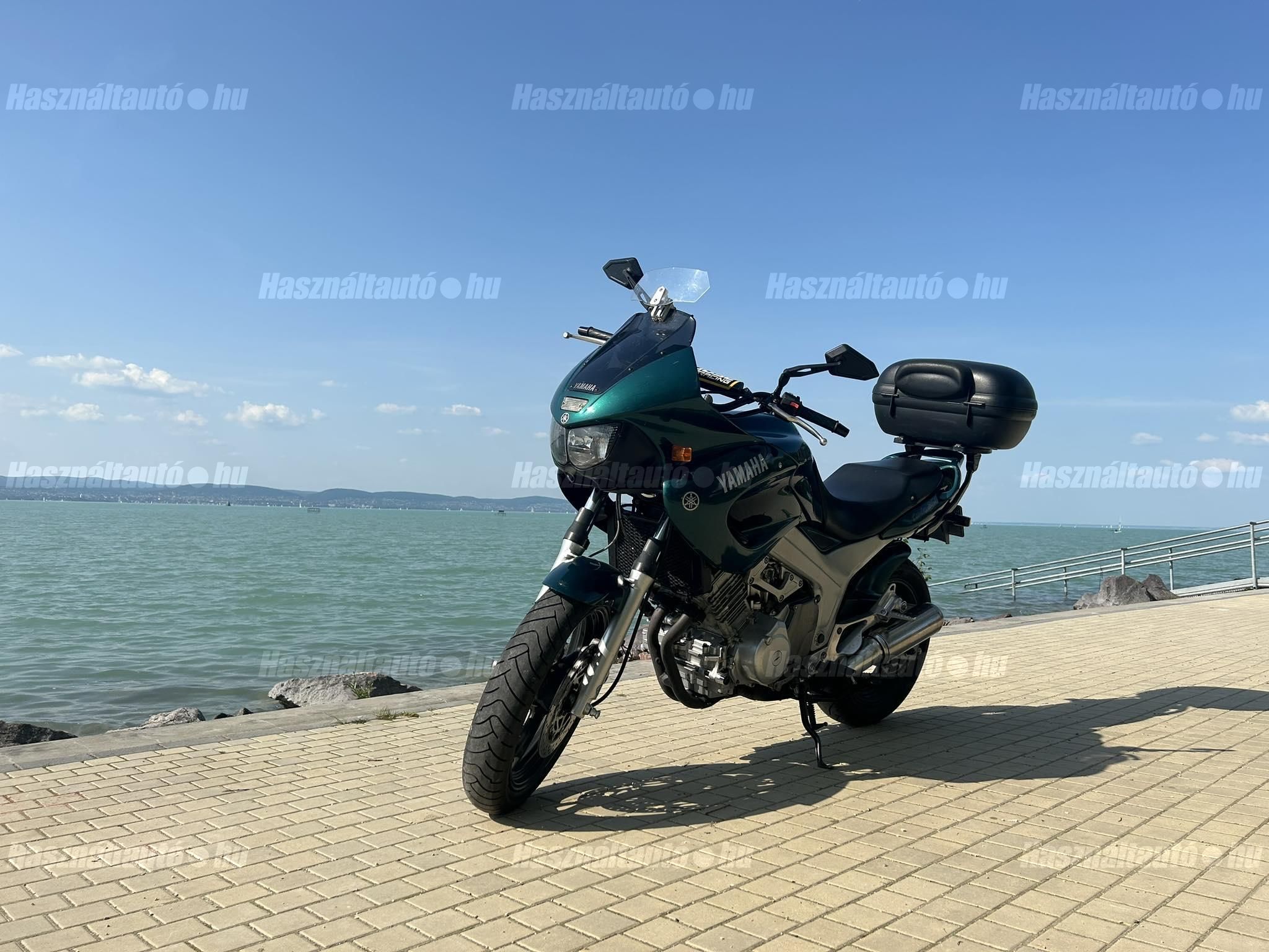 YAMAHA TDM 850 1996/5 - 1