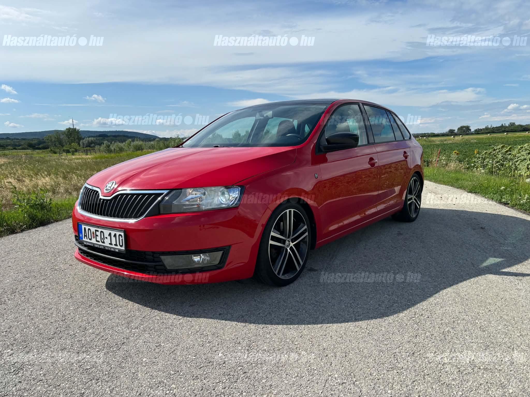 SKODA RAPID 2013 - 1