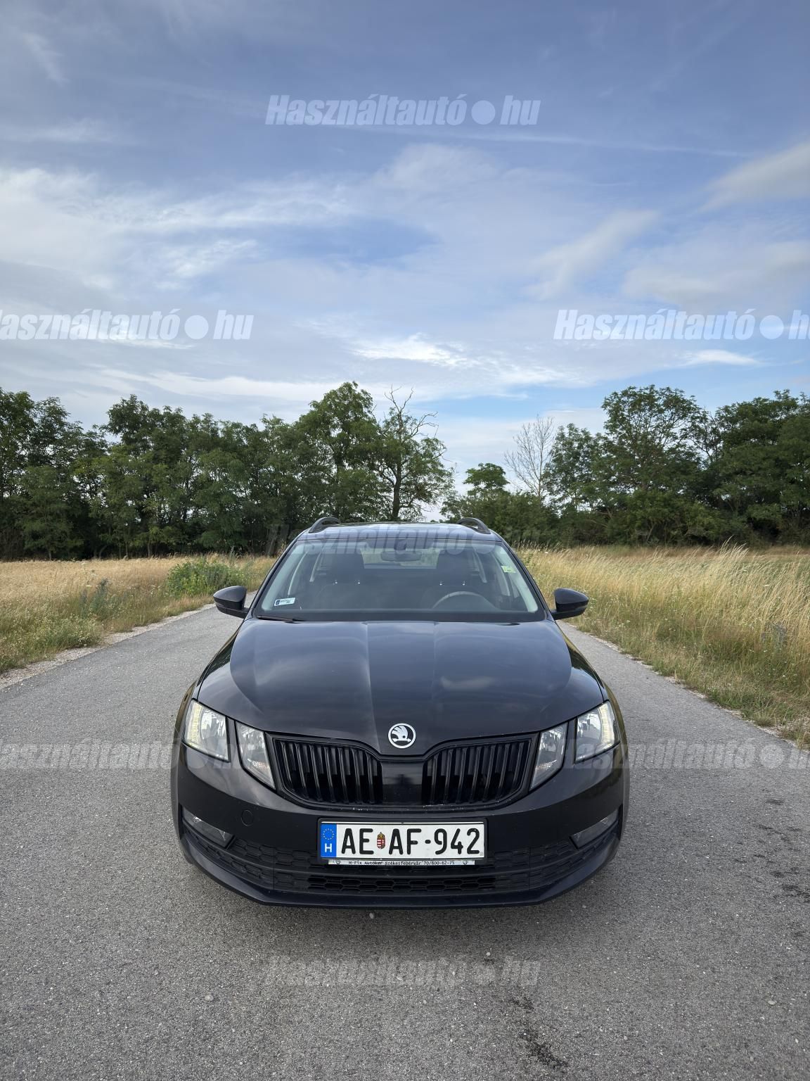 SKODA OCTAVIA 2017/11 - 1