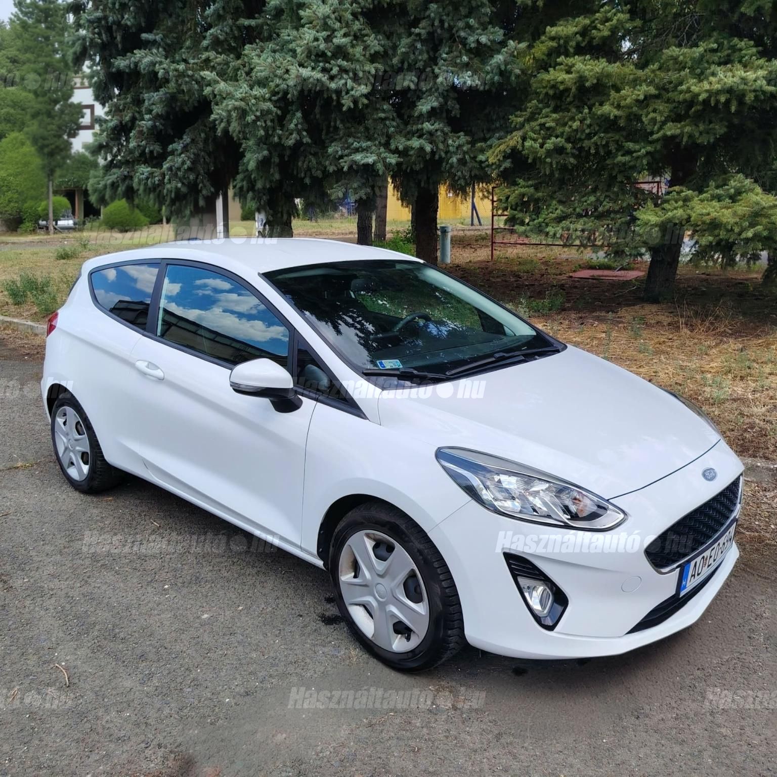 FORD FIESTA 2020/2 - 1
