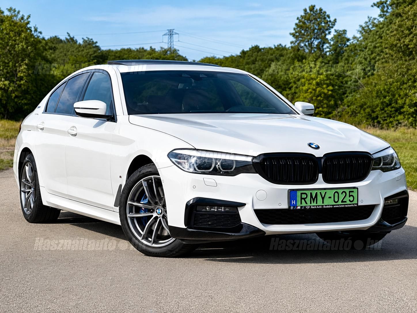 BMW 530 2019/5 - 1