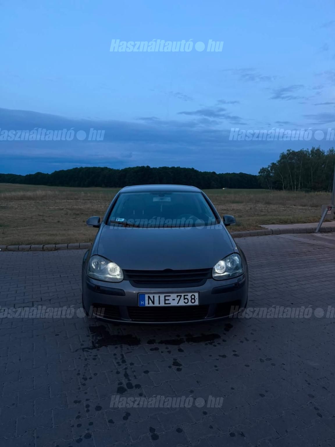 VOLKSWAGEN GOLF V 2004 - 1