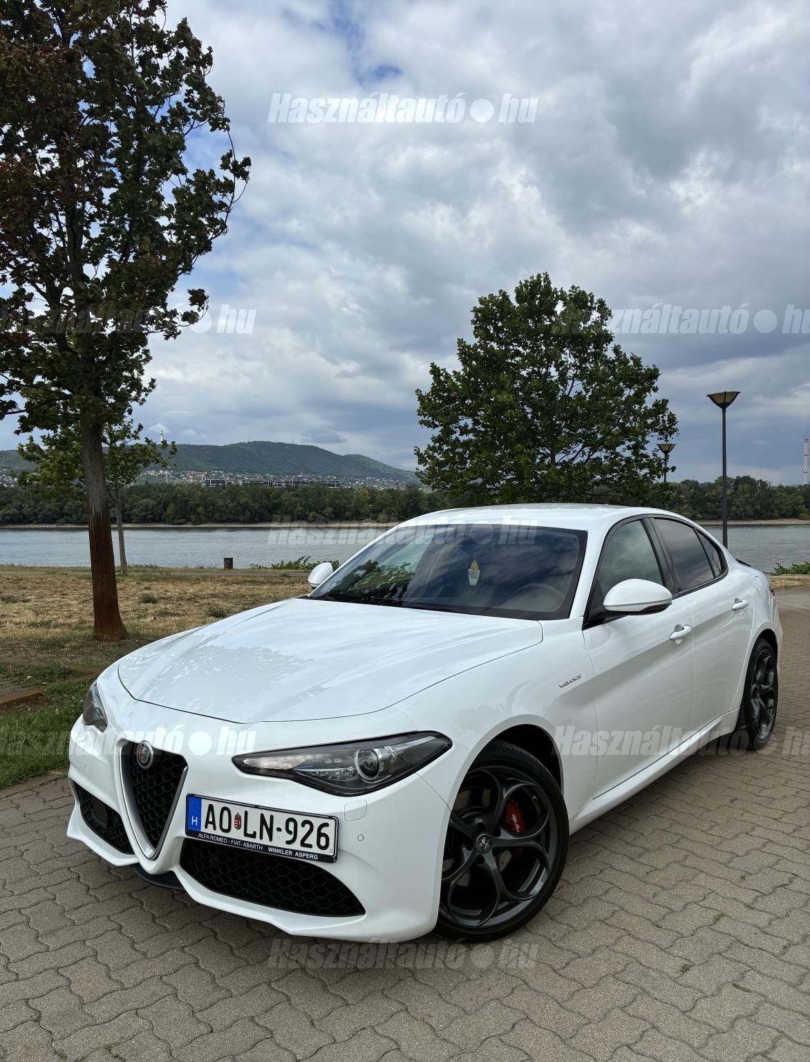ALFA ROMEO GIULIA 2019/2 - 1