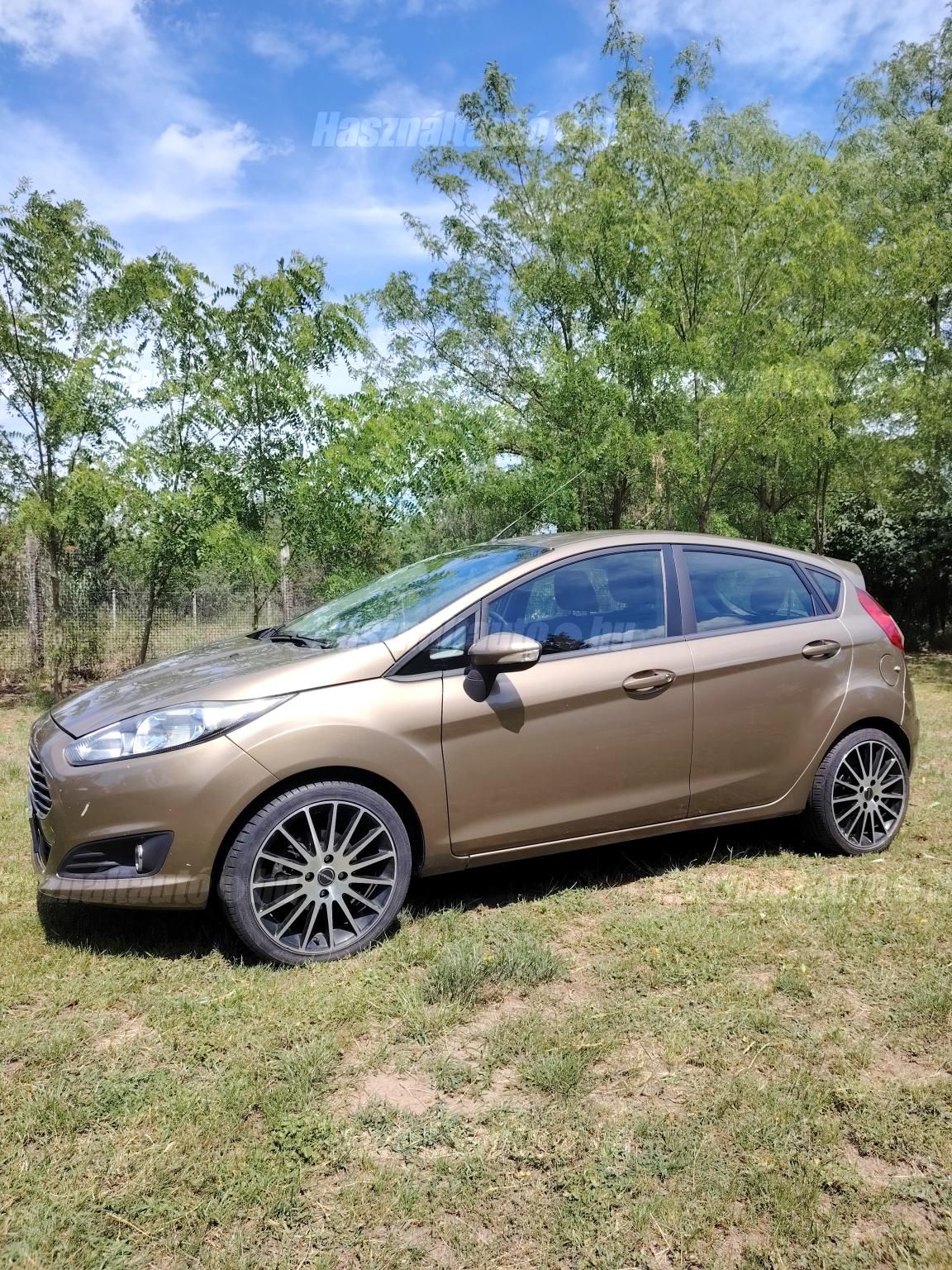 FORD FIESTA 2013/4 - 1