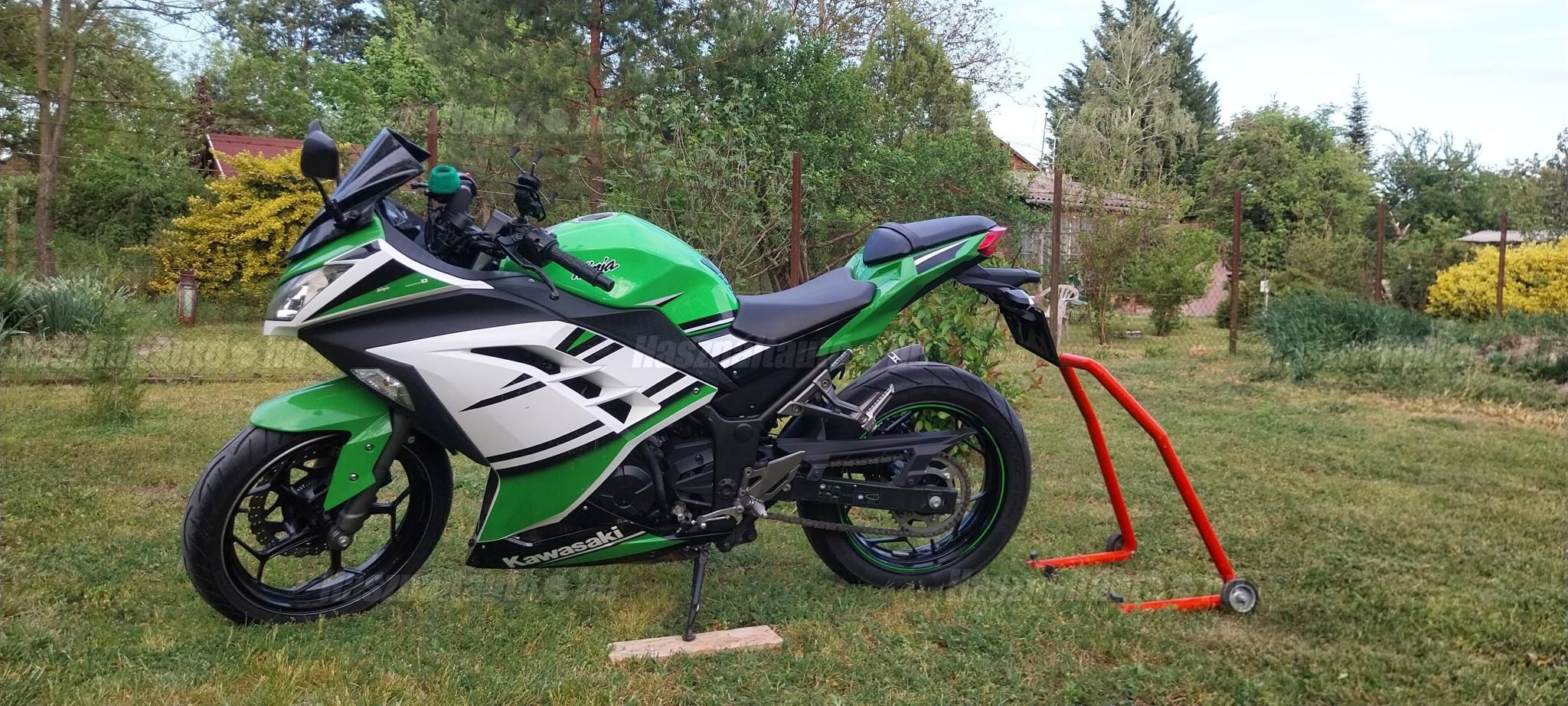 KAWASAKI NINJA 300 2016 - 1