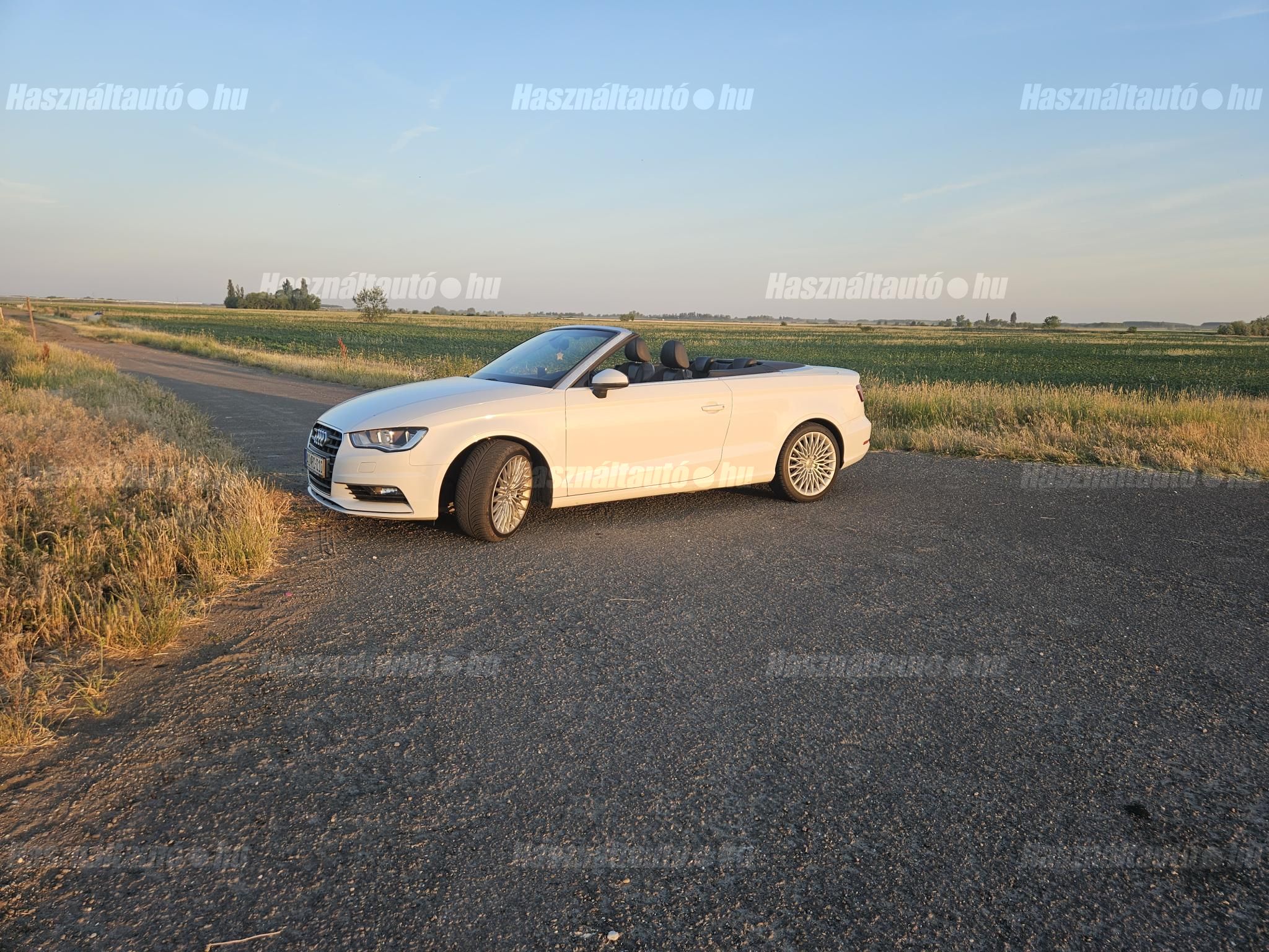 AUDI A3 CABRIO 2014/4 - 1