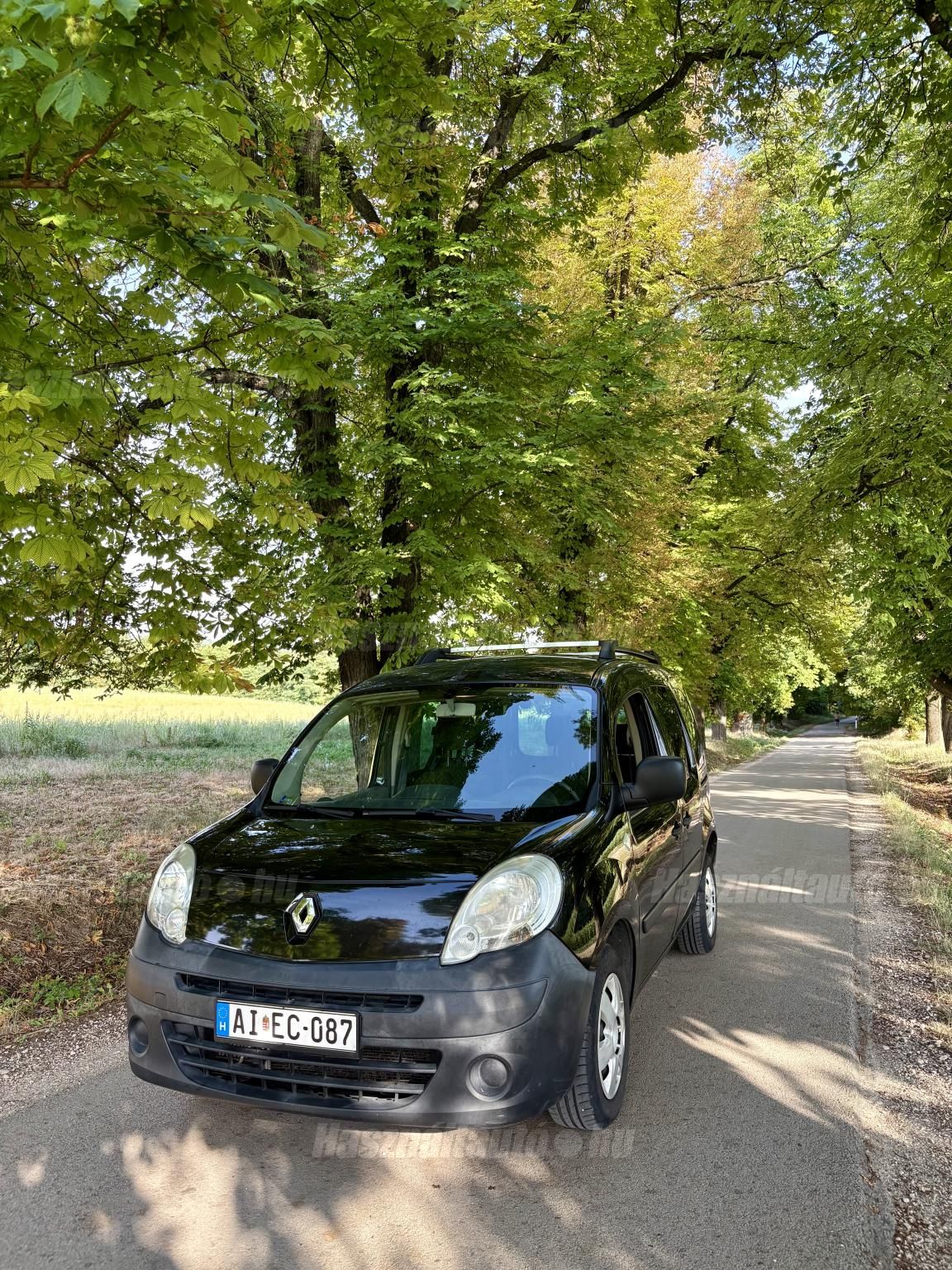 RENAULT KANGOO 2010/7 - 1