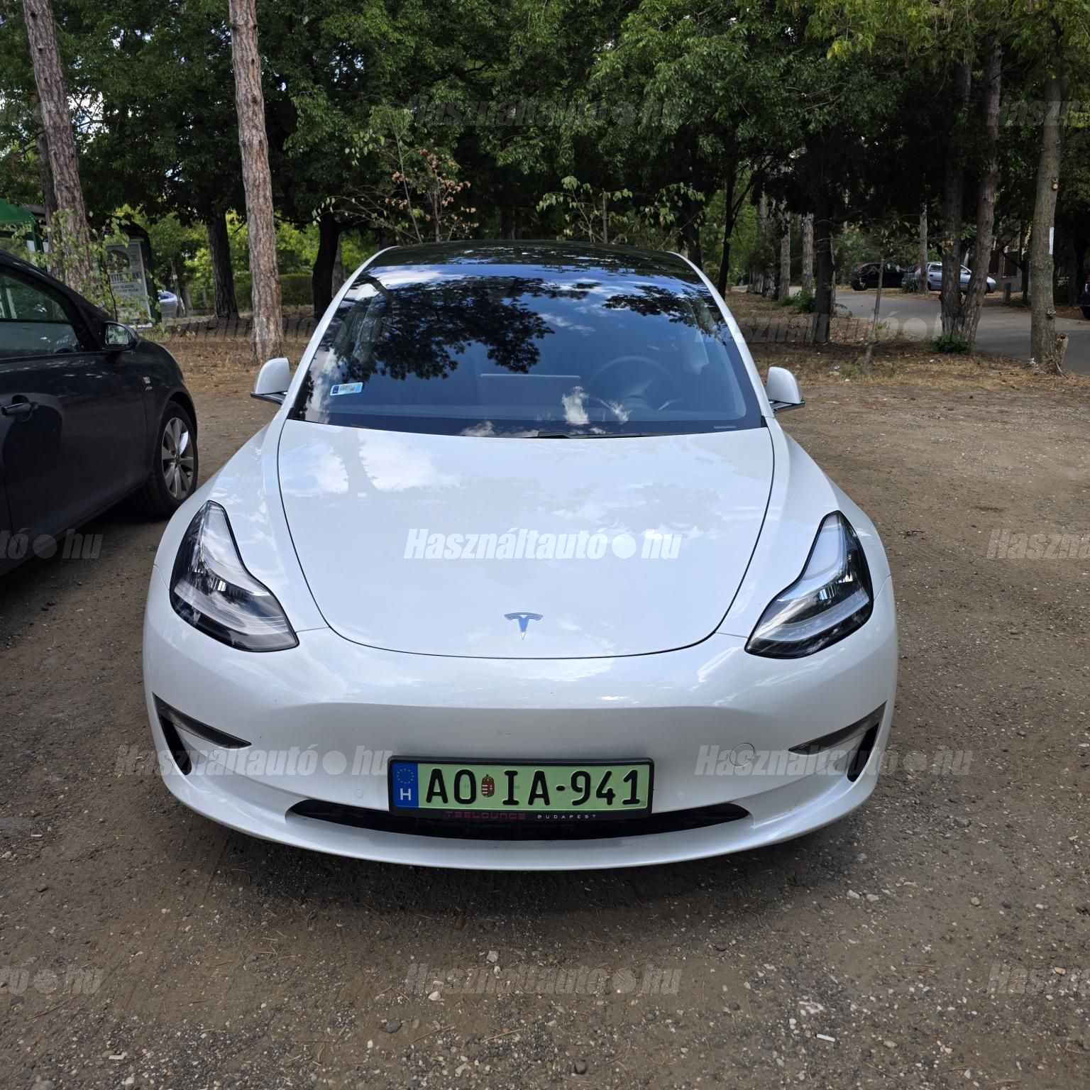 TESLA MODEL 3 2020/2 - 1