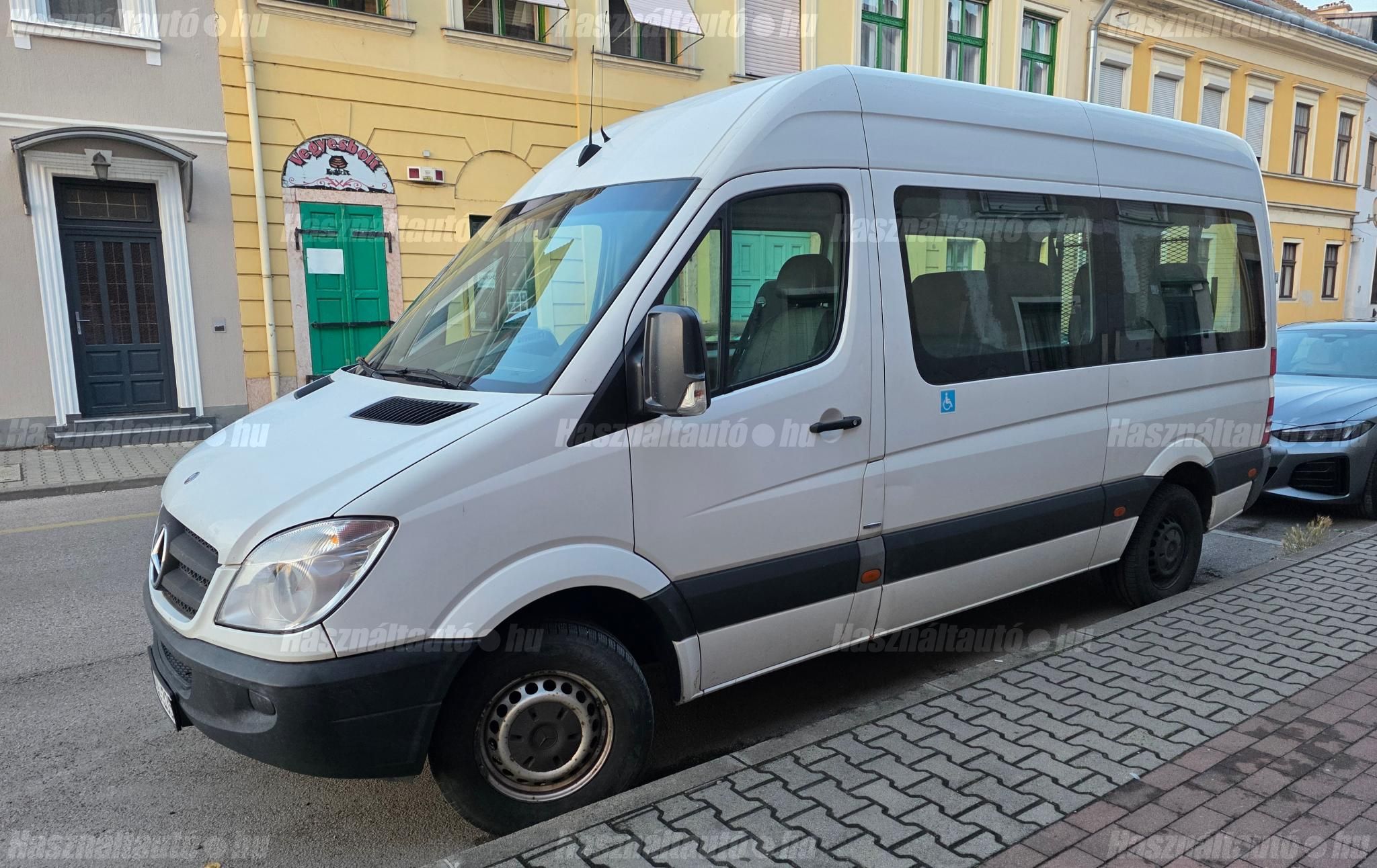 MERCEDES-BENZ SPRINTER 2013/3 - 1