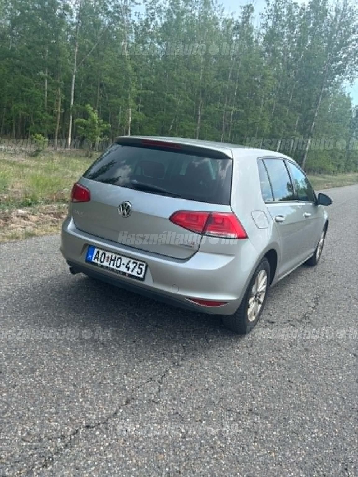 VOLKSWAGEN GOLF VII 2013/6 - 1