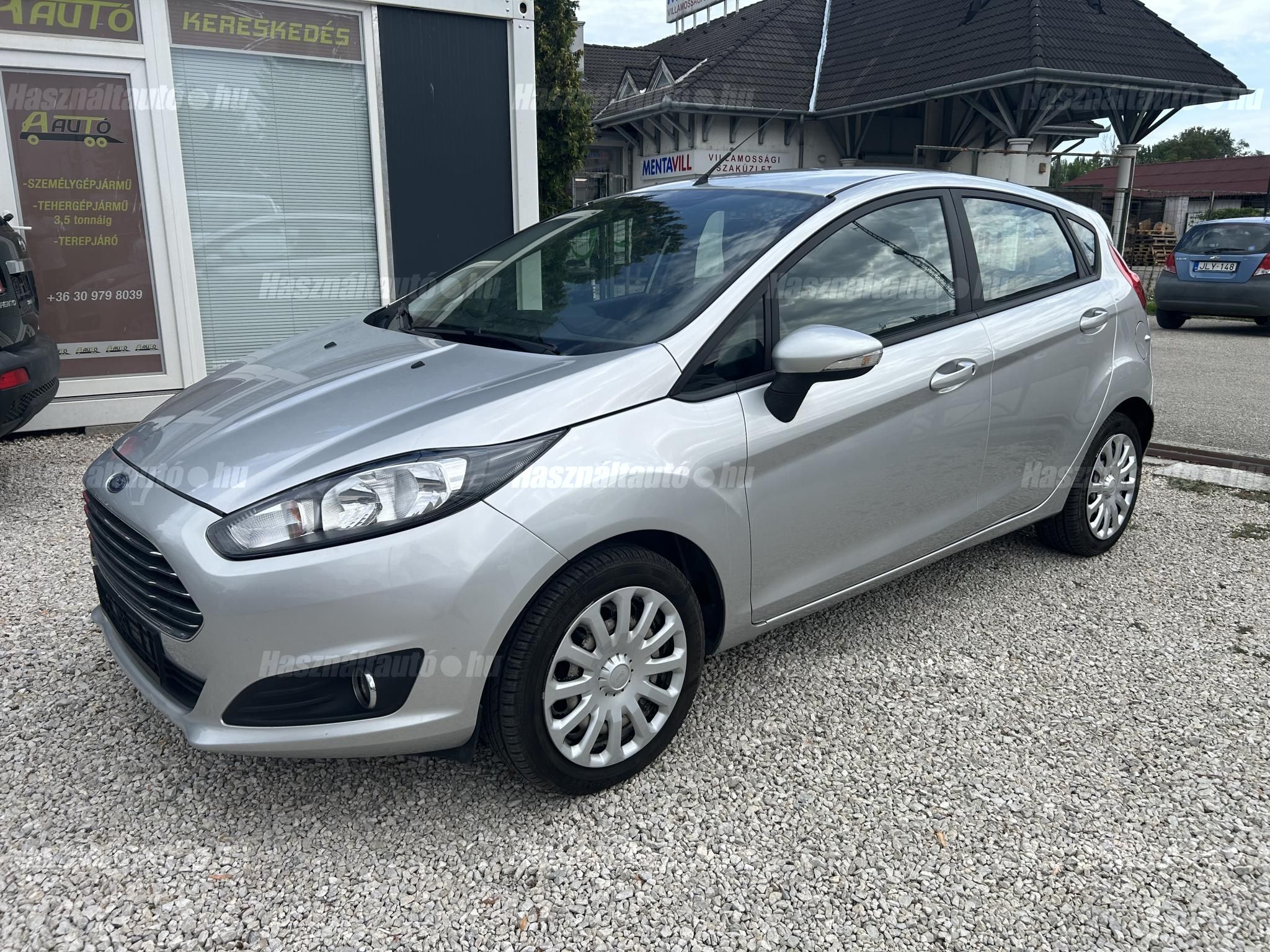 FORD FIESTA 2014/3 - 1