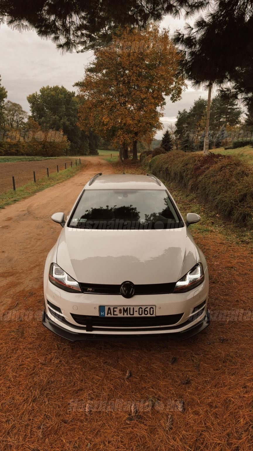 VOLKSWAGEN GOLF VII 2013 - 1