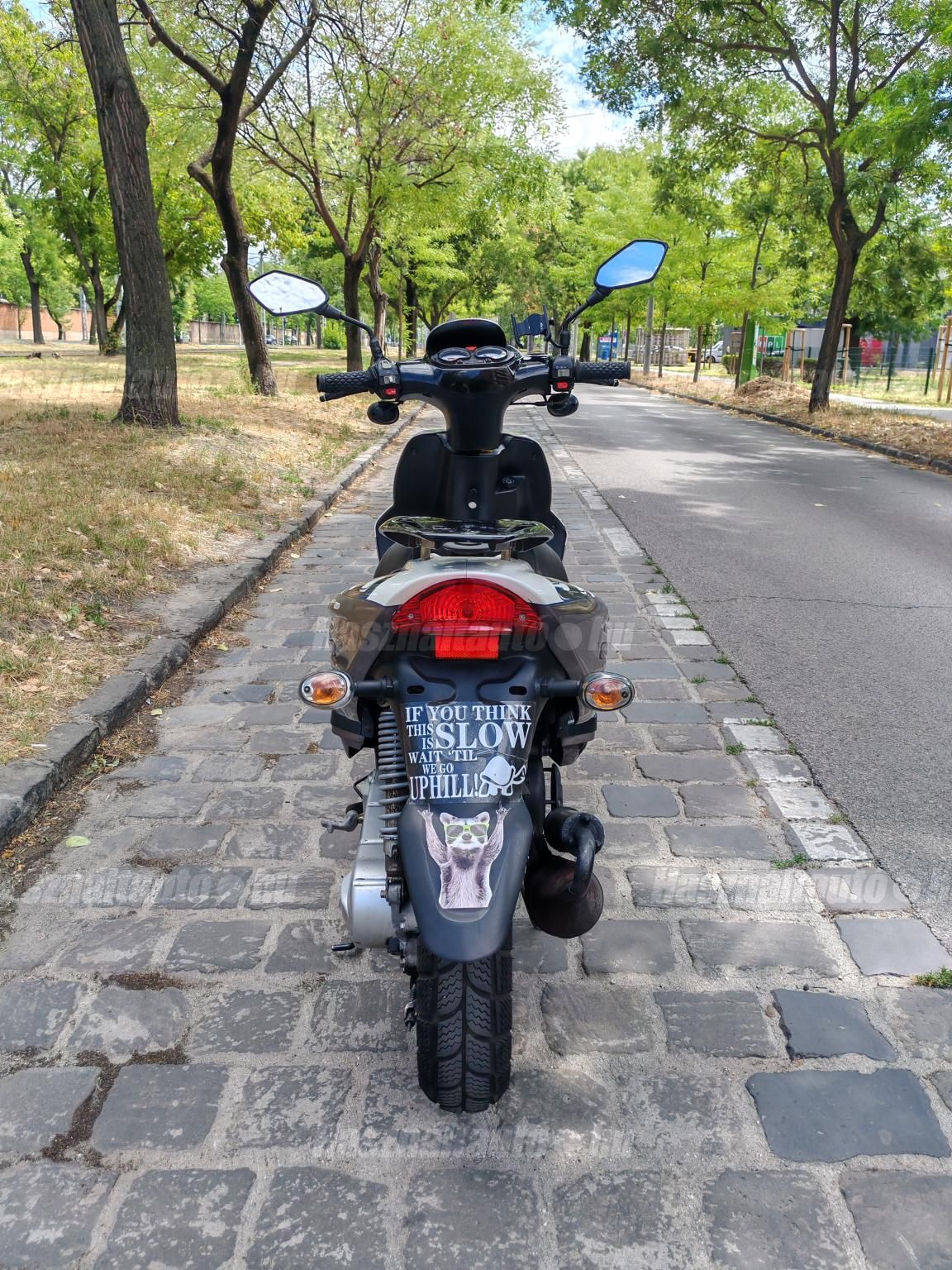 SACHS EGYÉB 2013 - 1