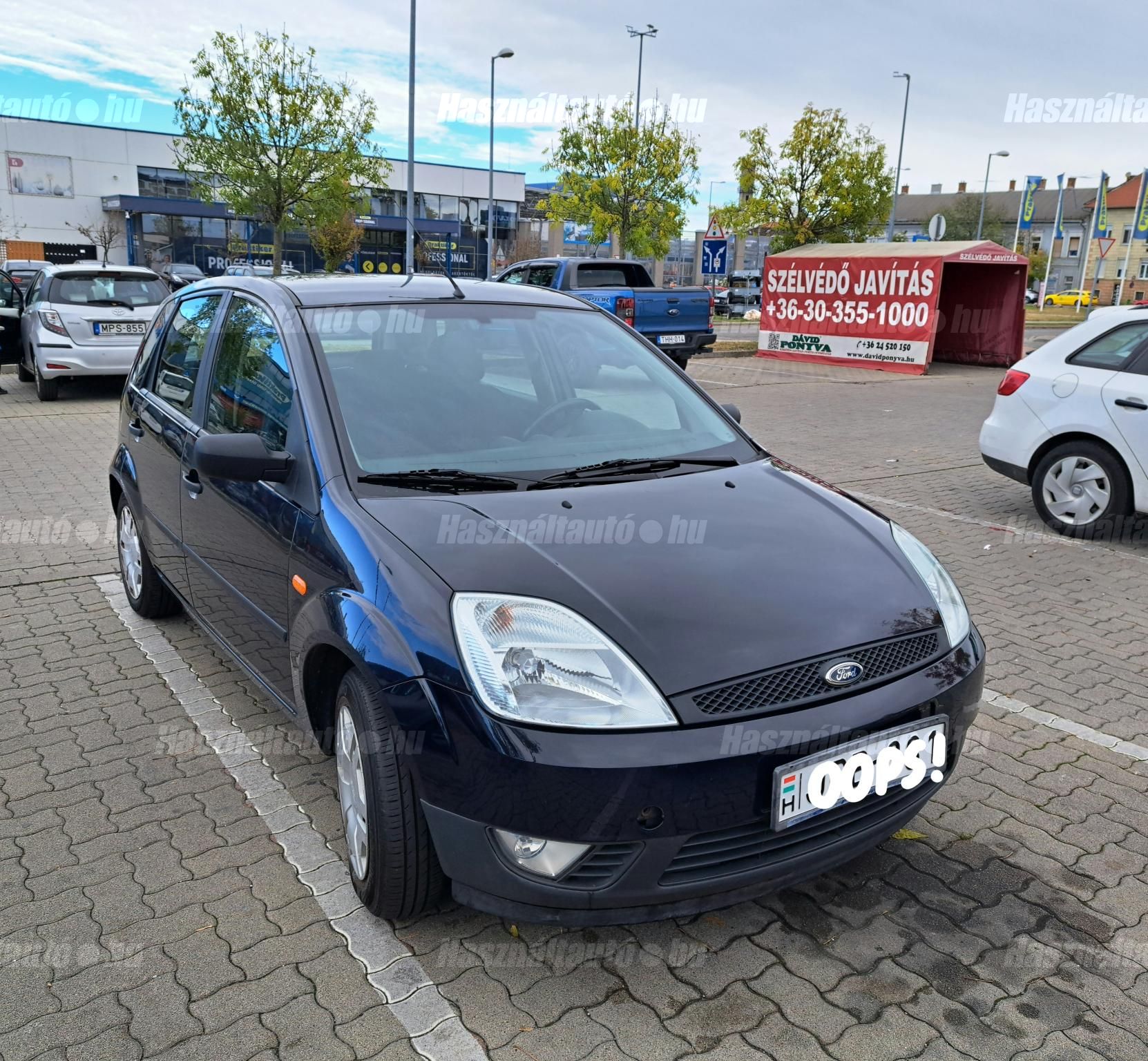 FORD FIESTA 2004/2 - 1