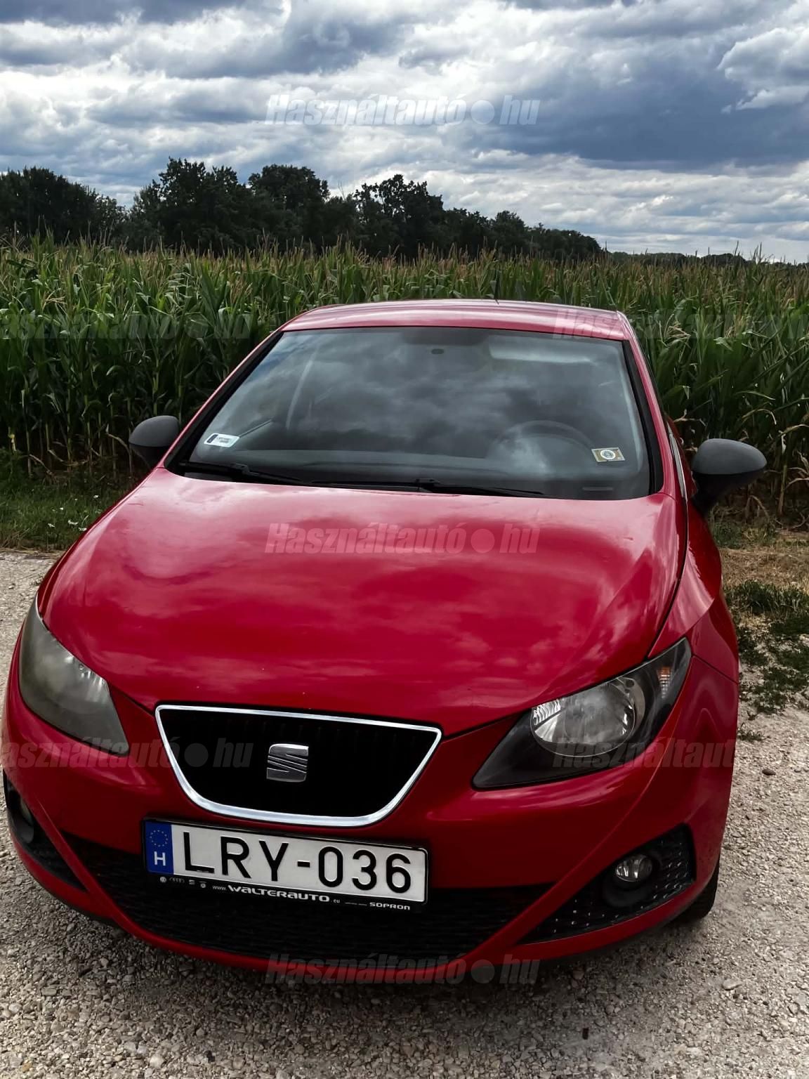 SEAT IBIZA 2010/3 - 1