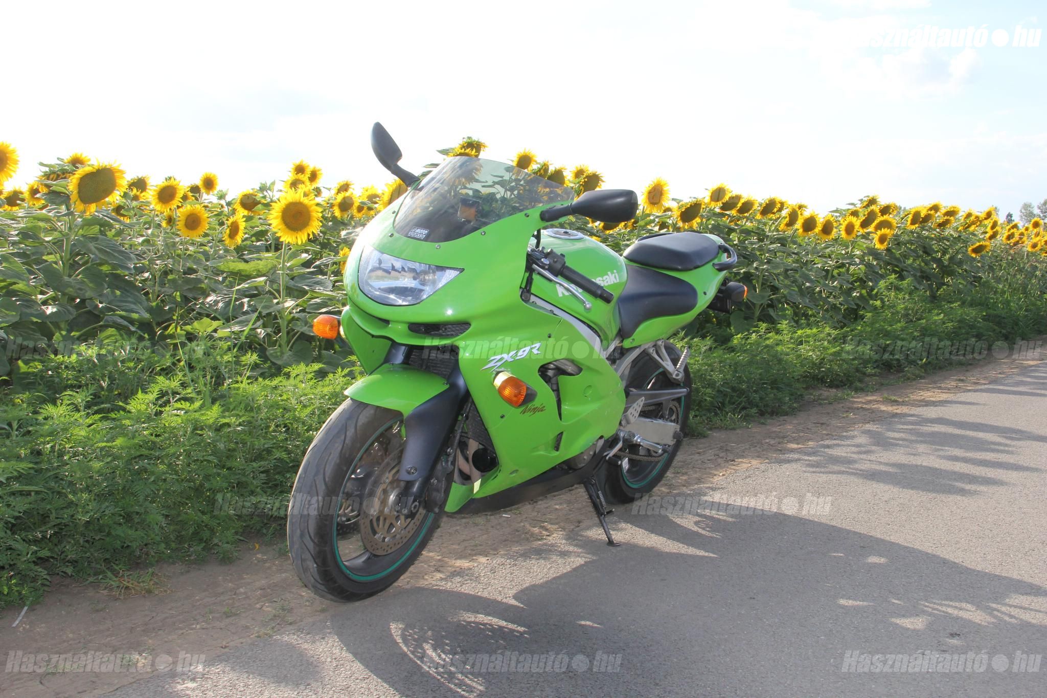 KAWASAKI ZX-9R (NINJA) 1999/1 - 1