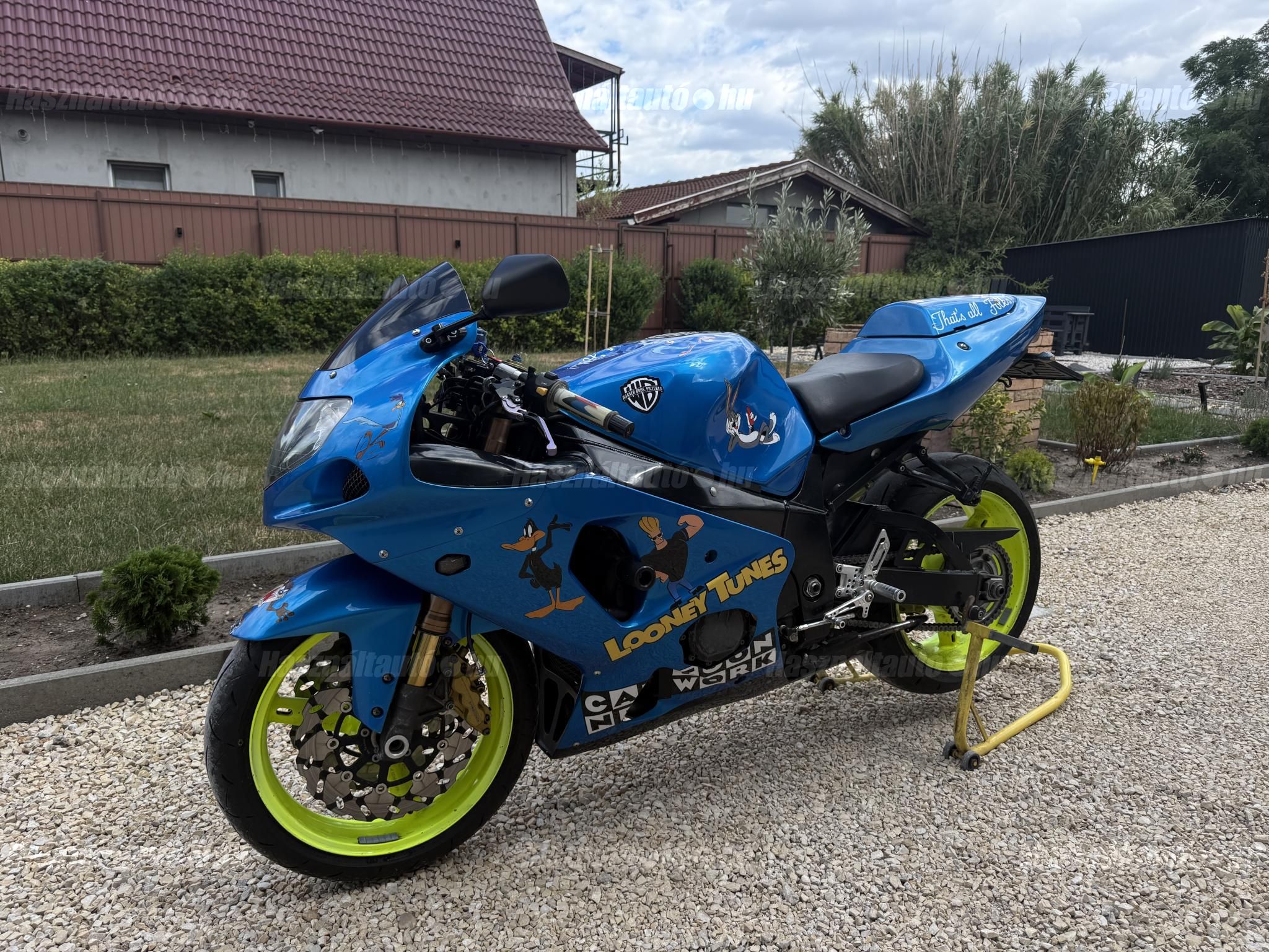 SUZUKI GSX-R 1000 2001/8 - 1