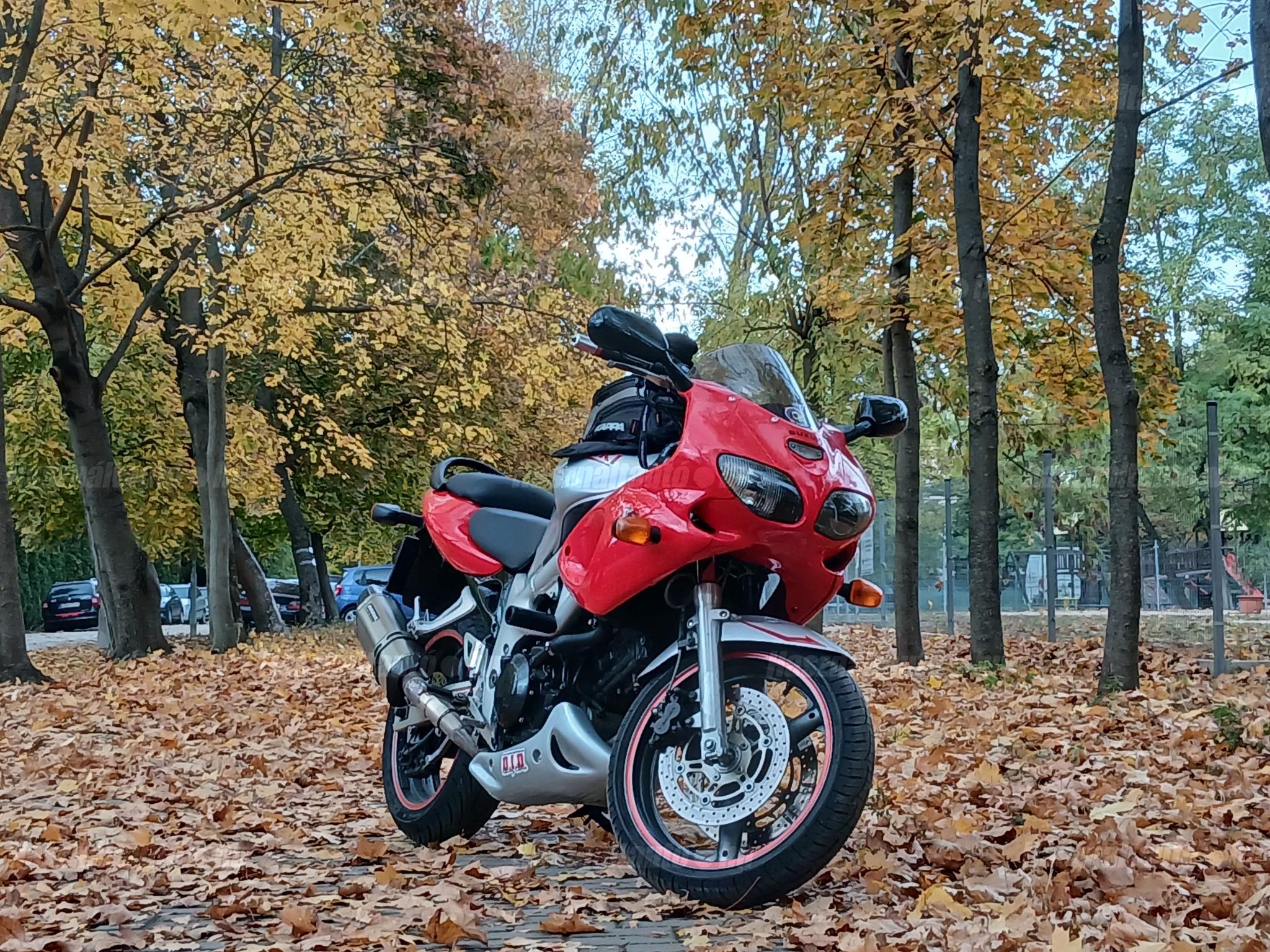 SUZUKI SV 650 S 2000/4 - 1