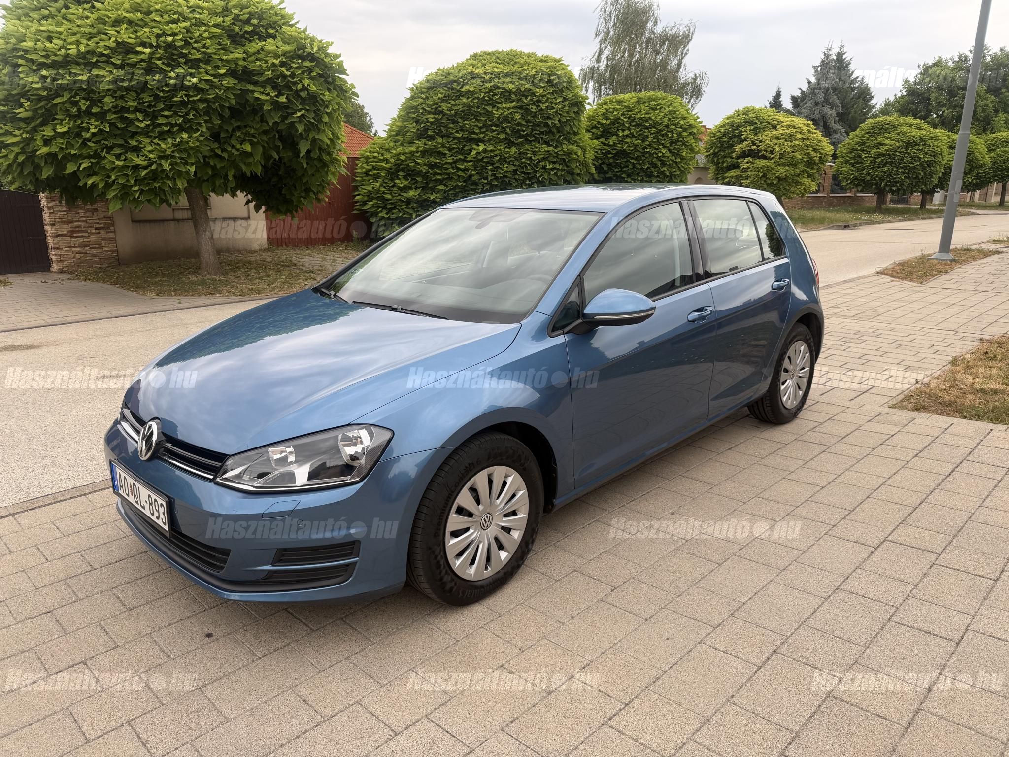 VOLKSWAGEN GOLF VII 2013/3 - 1