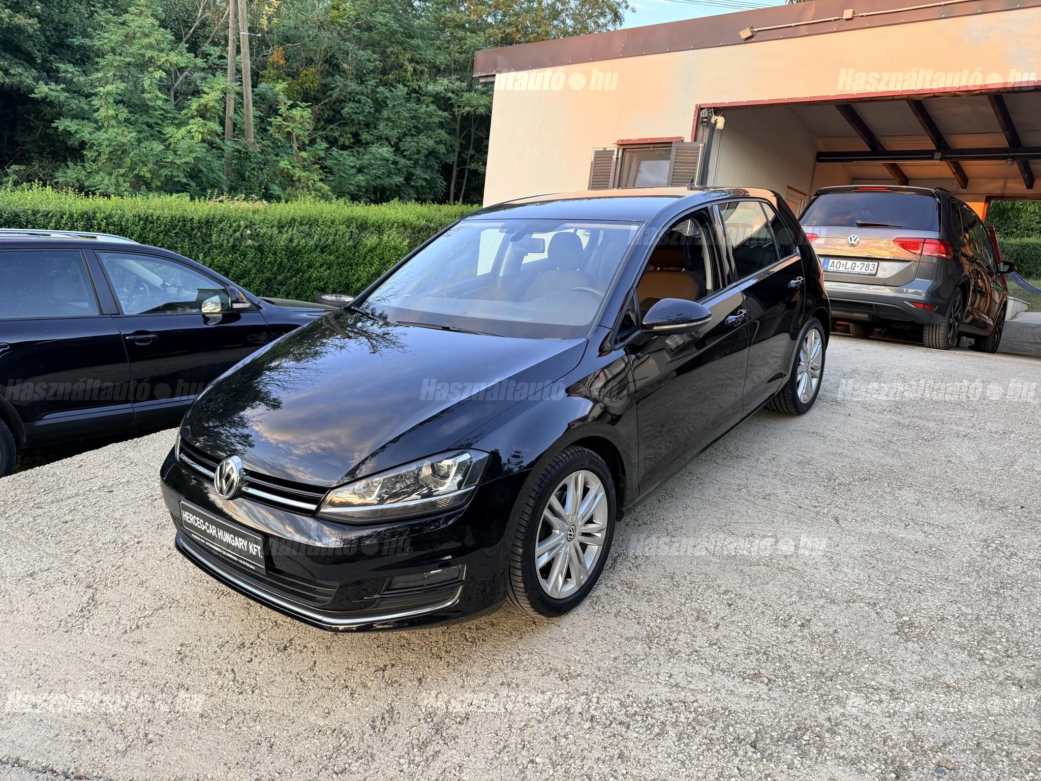 VOLKSWAGEN GOLF VII 2013/5 - 1