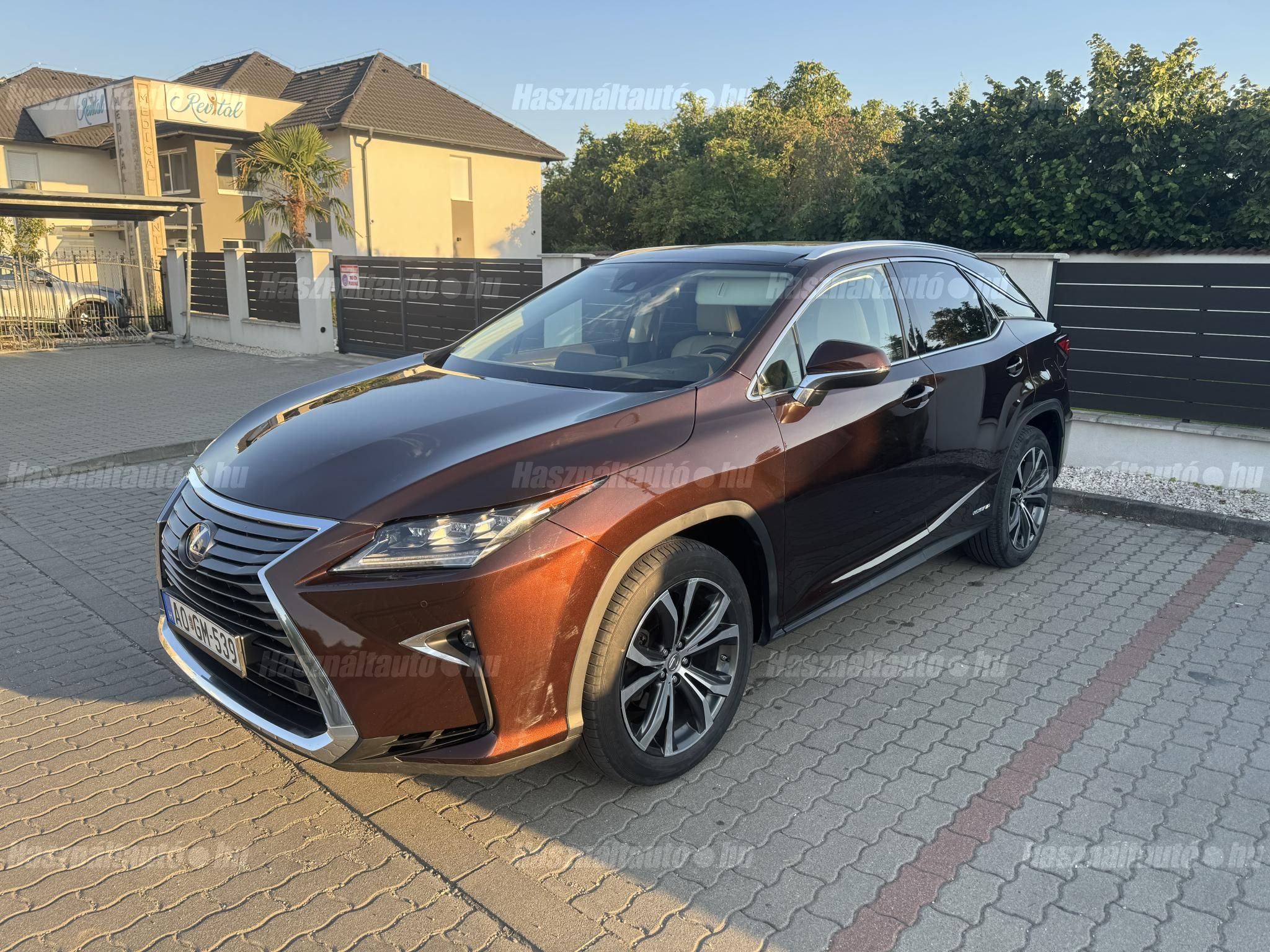 LEXUS RX 2018/11 - 1