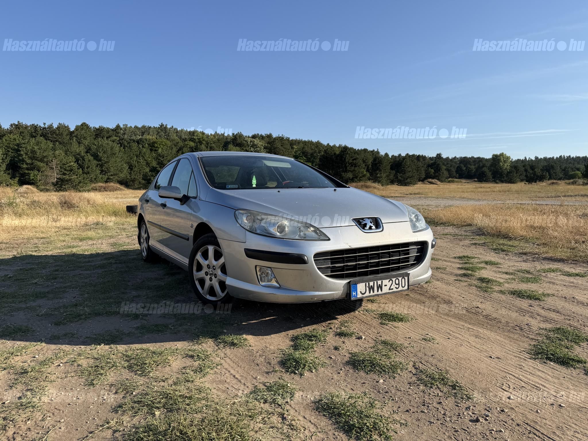 PEUGEOT 407 2006/6 - 1