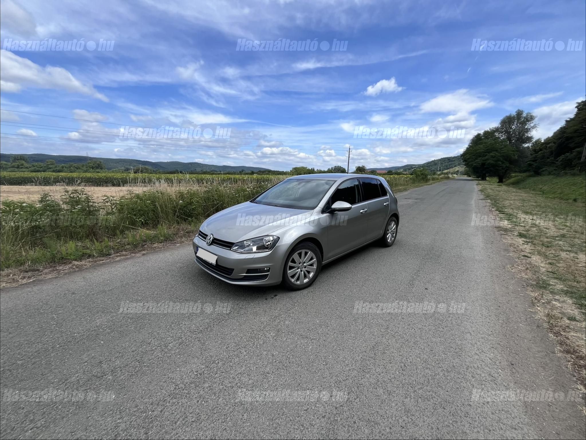 VOLKSWAGEN GOLF VII 2013/9 - 1