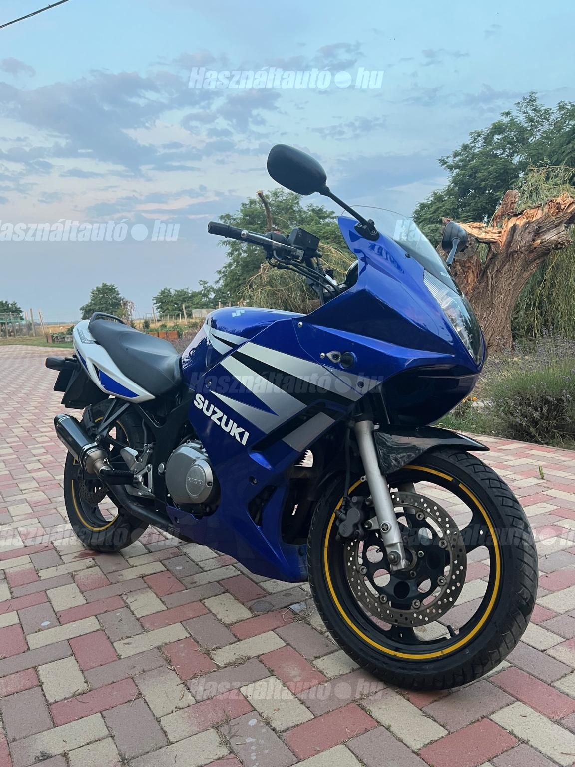 SUZUKI GS 500 F 2004/6 - 1