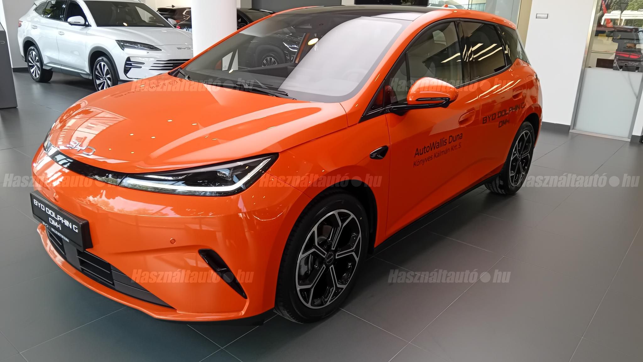 BYD DOLPHIN G 2026 - 1