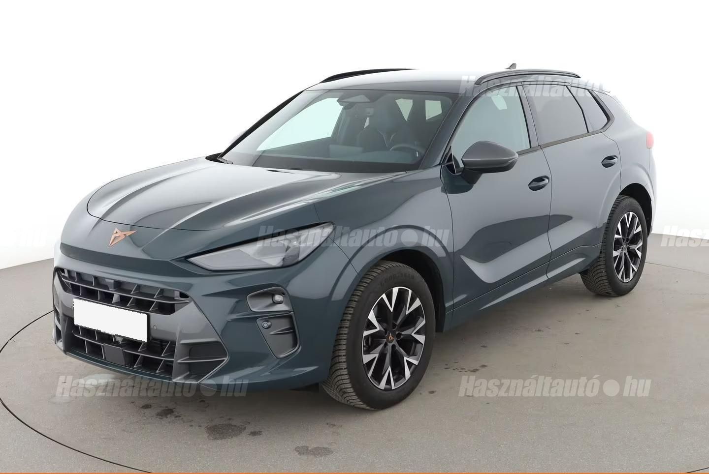 CUPRA TERRAMAR 2025/1 - 1