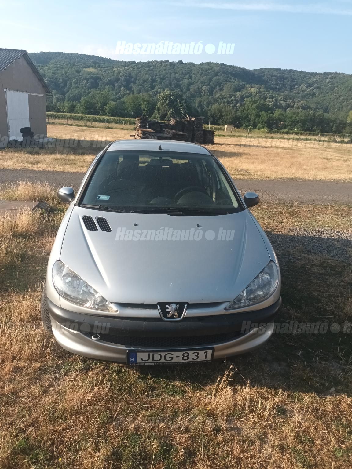 PEUGEOT 206 2004 - 1