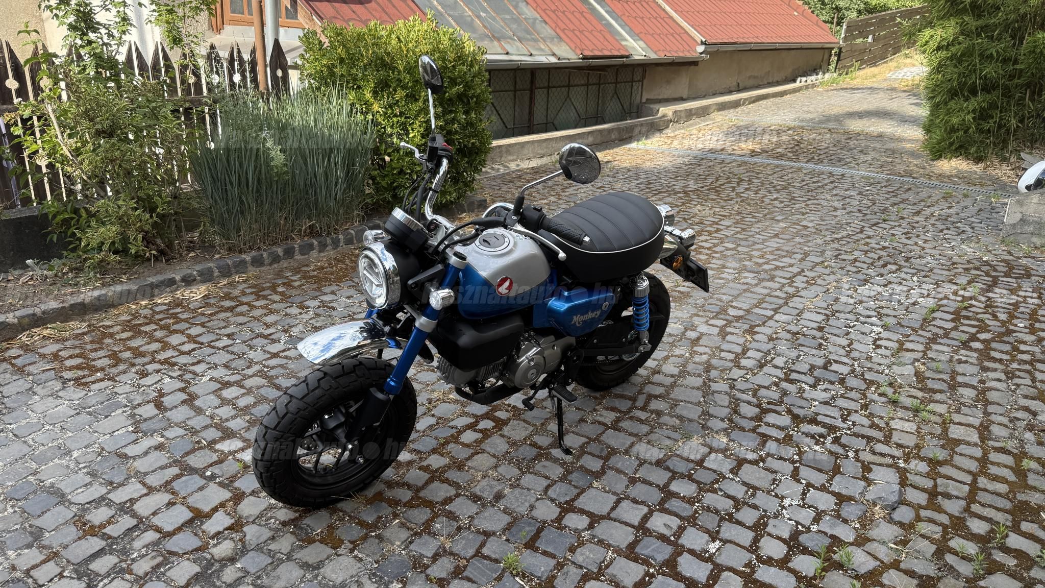 HONDA Z 125 MONKEY 2021/6 - 1