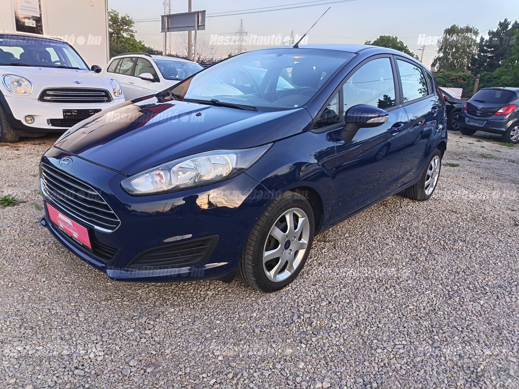 FORD FIESTA 2013/11 - 1