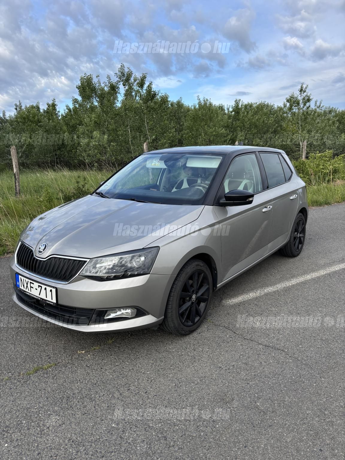 SKODA FABIA 2016/10 - 1