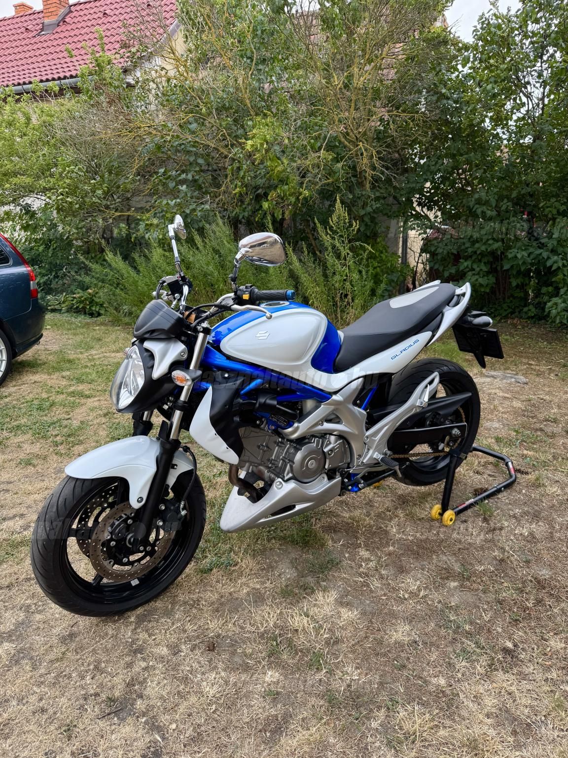 SUZUKI SFV 2010/11 - 1