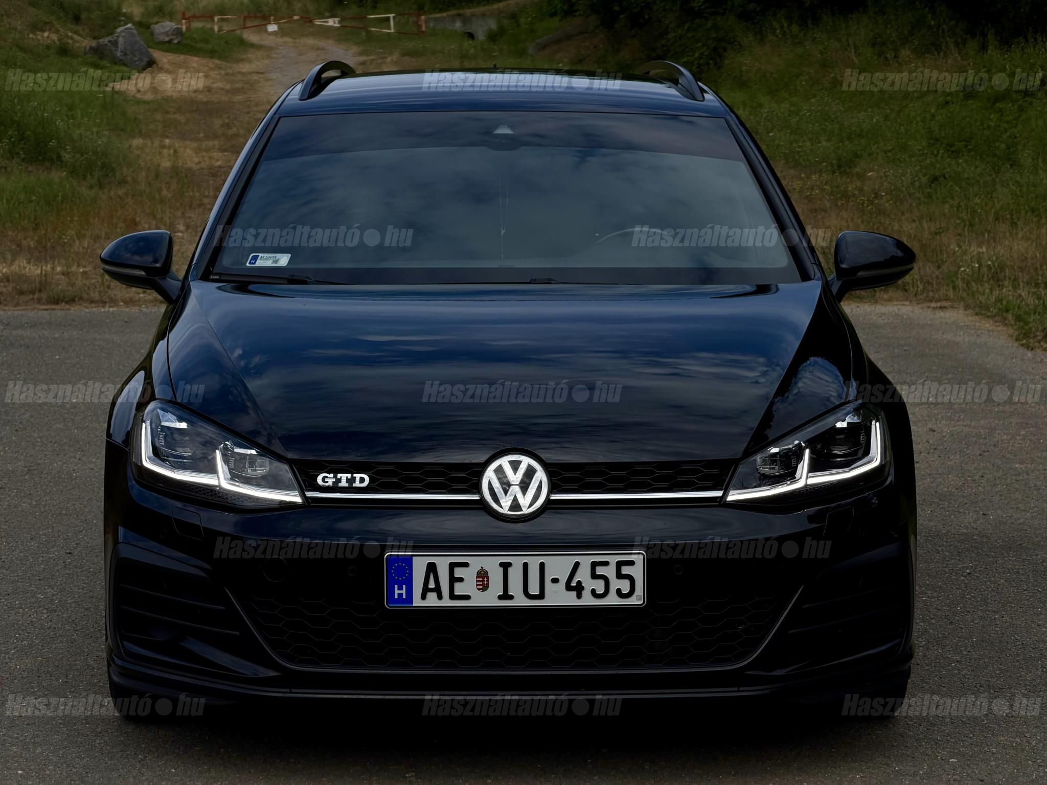 VOLKSWAGEN GOLF VII 2019/4 - 1